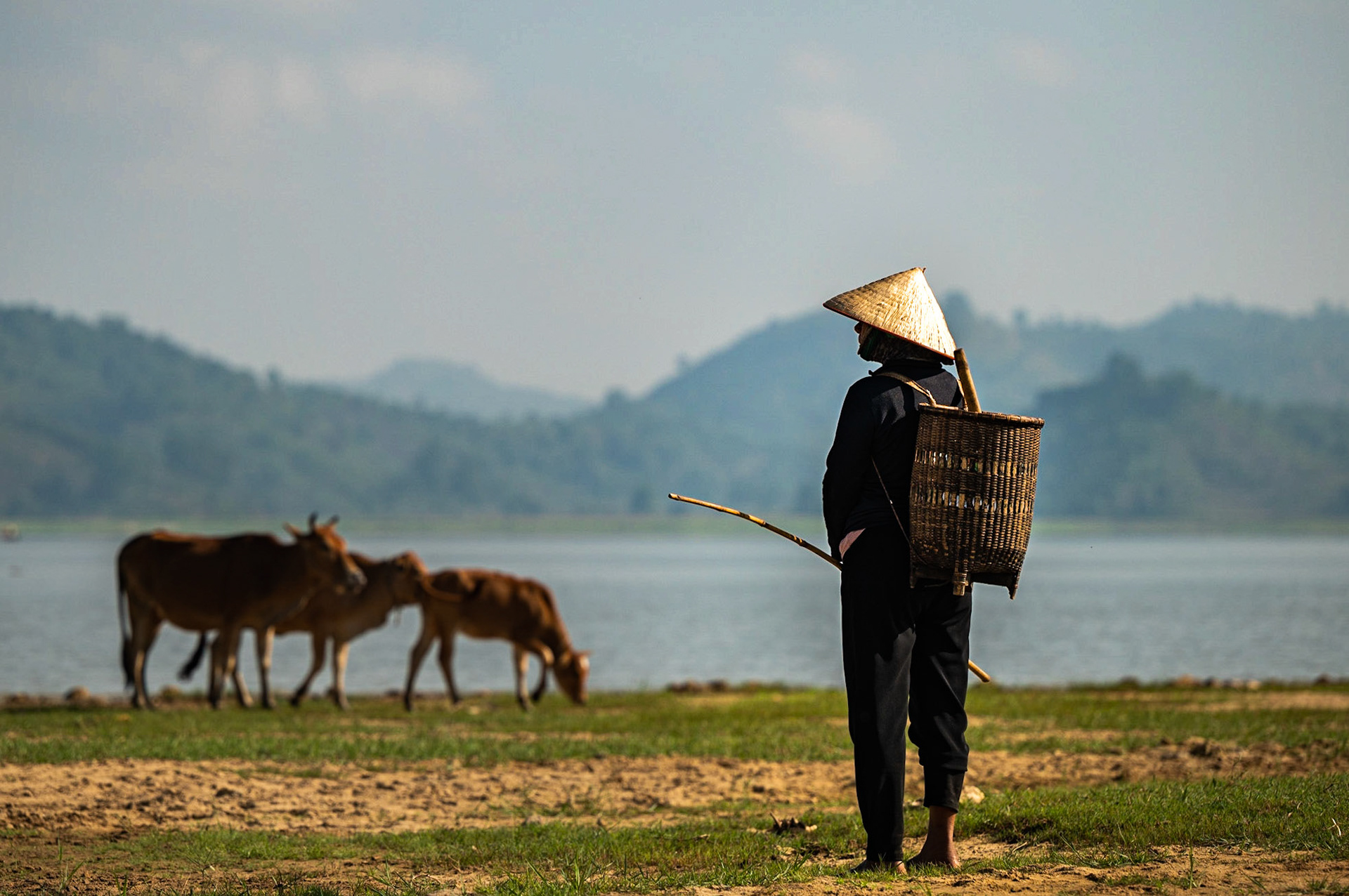 Cow herder along lak Lake / 02-05-21-327