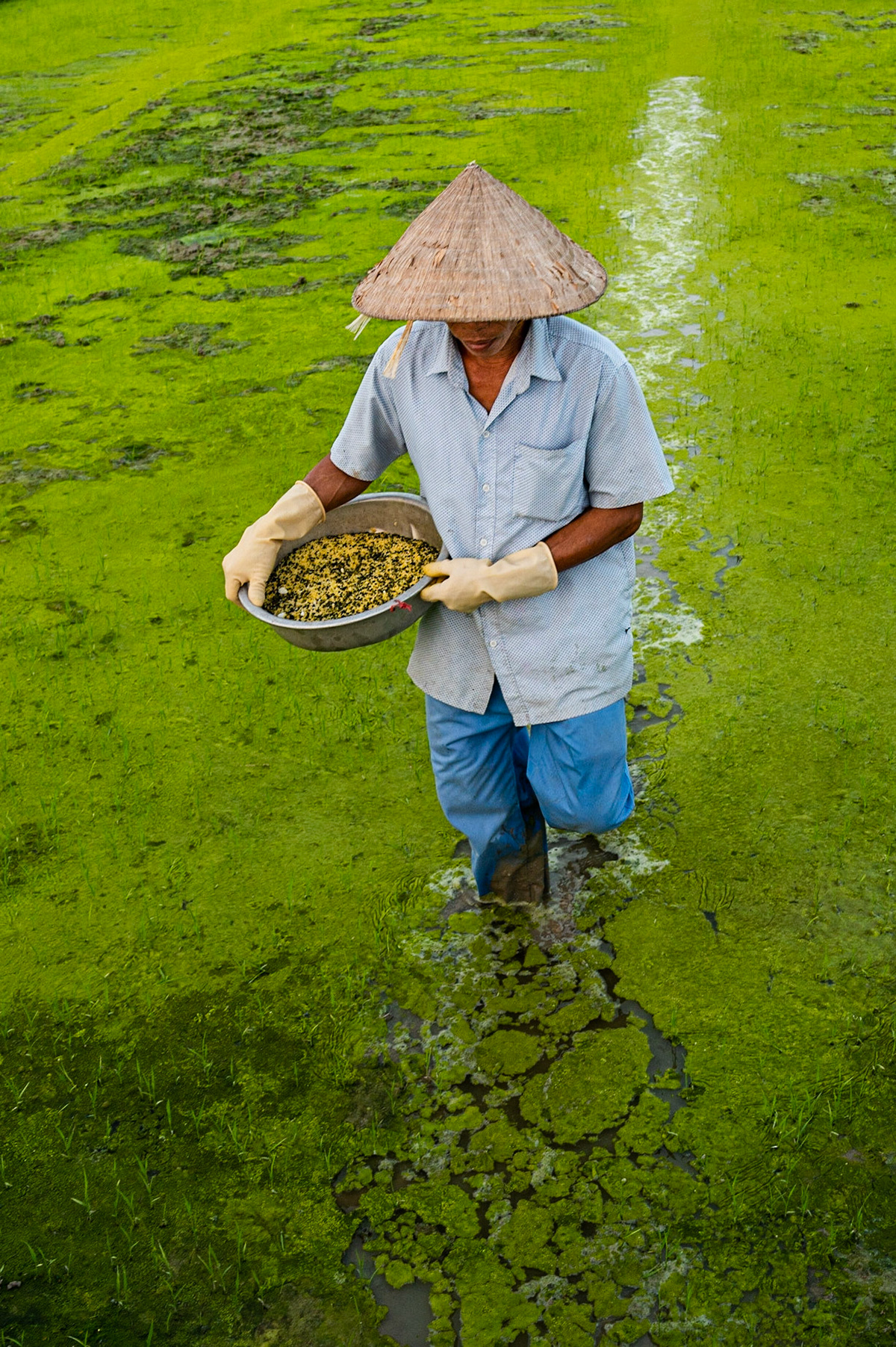 Hoi An / 23-01-2021-089-2