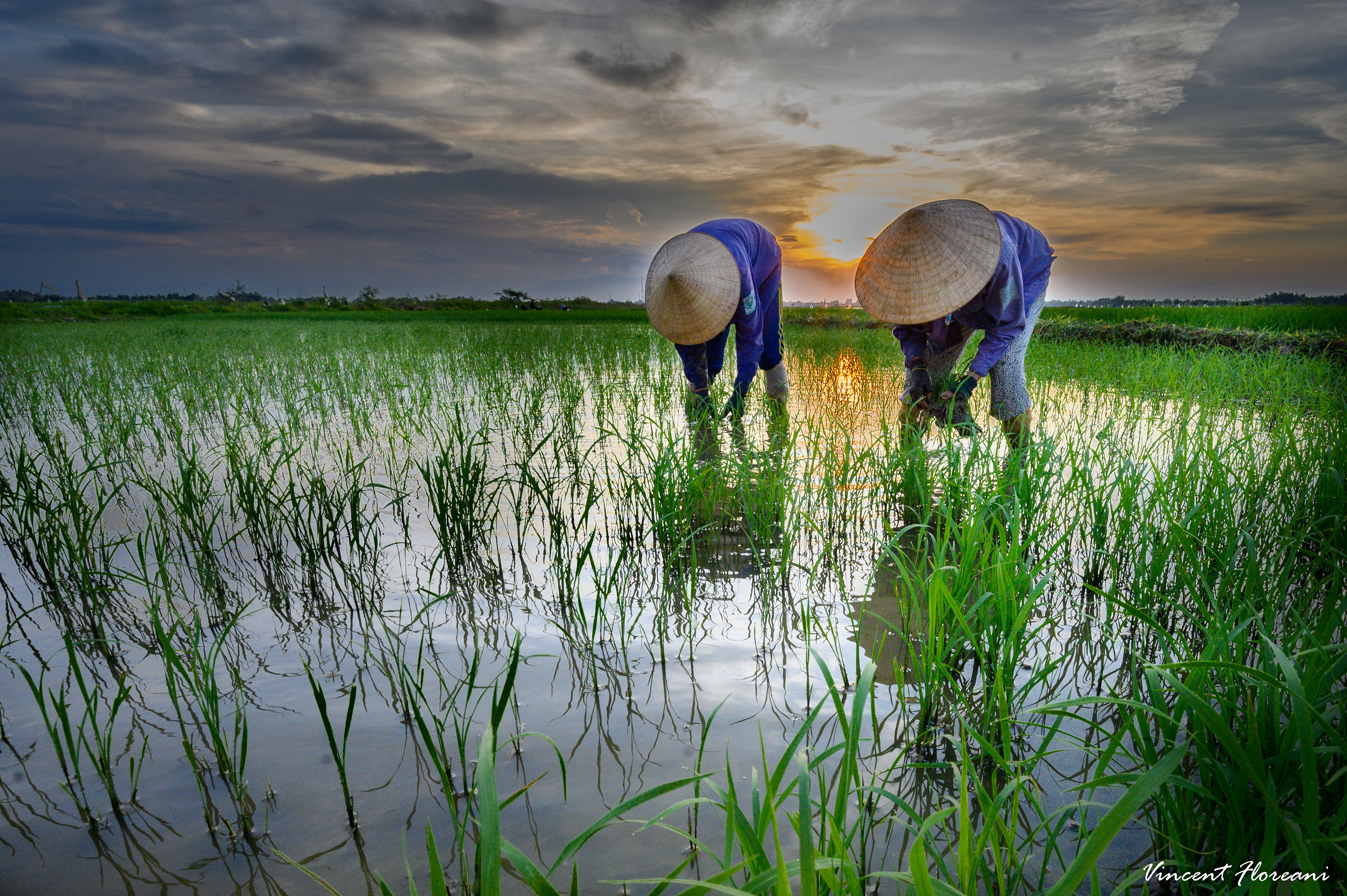 Hoi An / 28-06-2020-1289