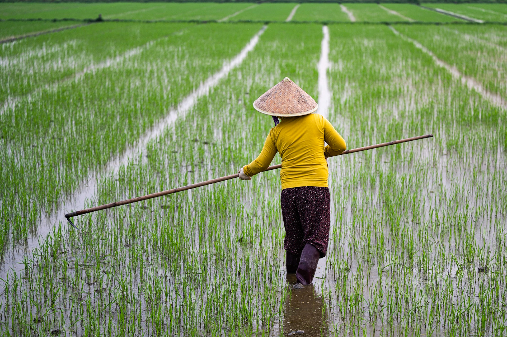 Hoi An / 24-01-2021-049