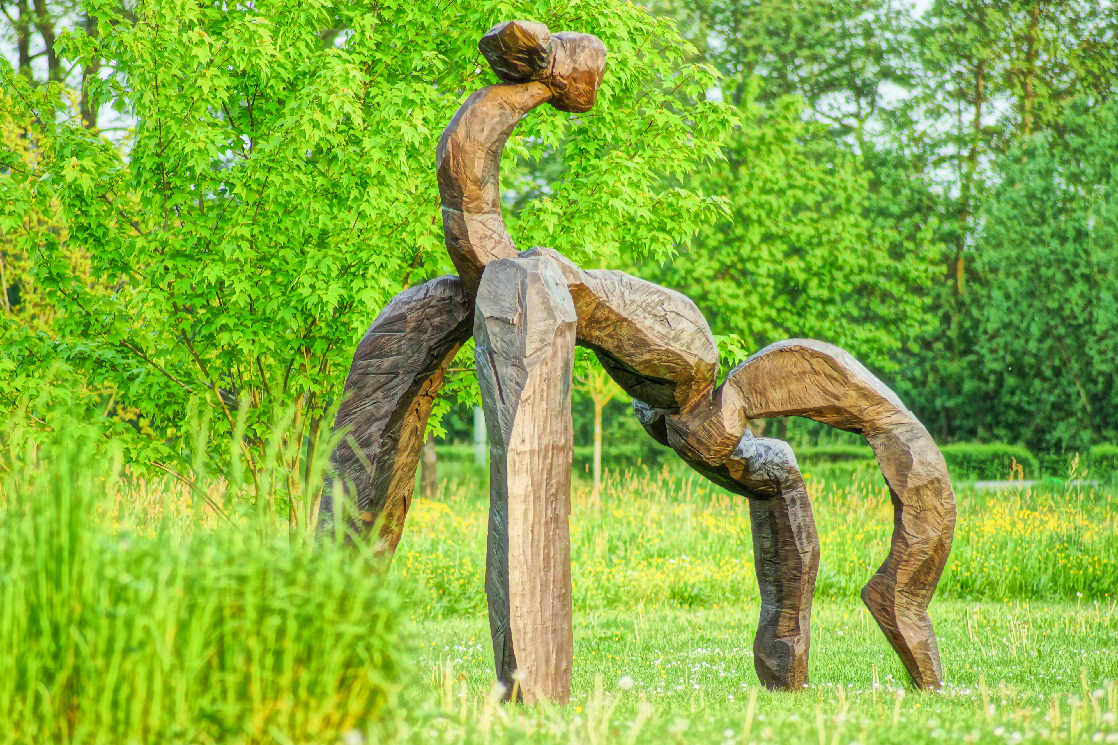 Skulpturenpark Dauerausstellung