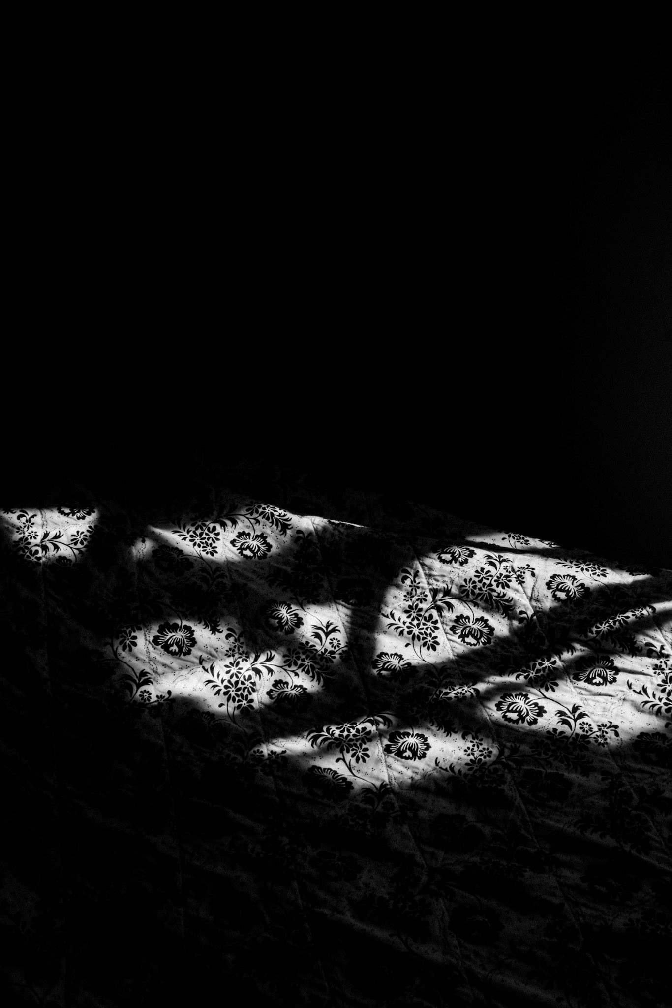 Baarlo, 2022, Digital