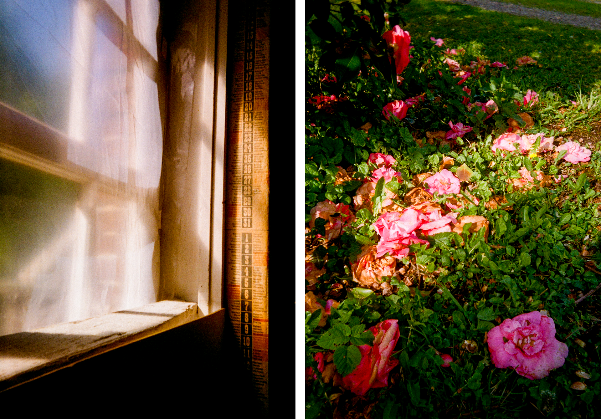 Home, 2024, 35mm (half-frame)