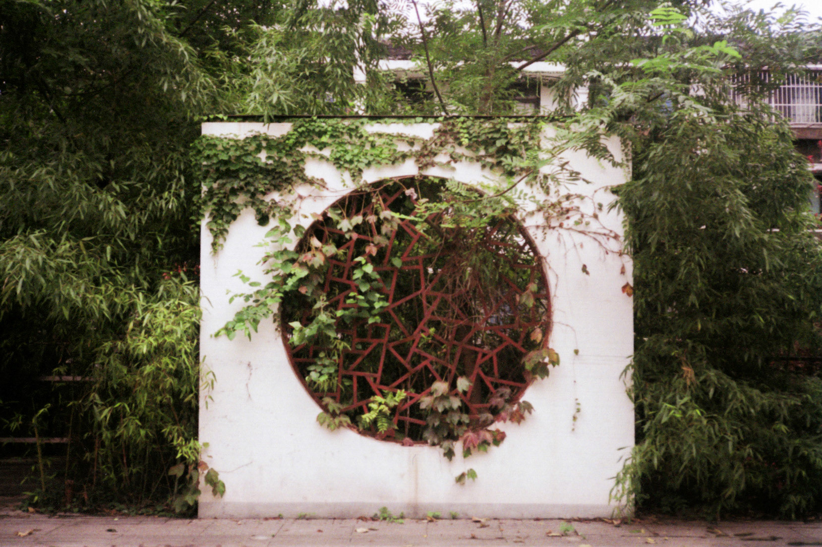Shanghai, 2017, 35mm