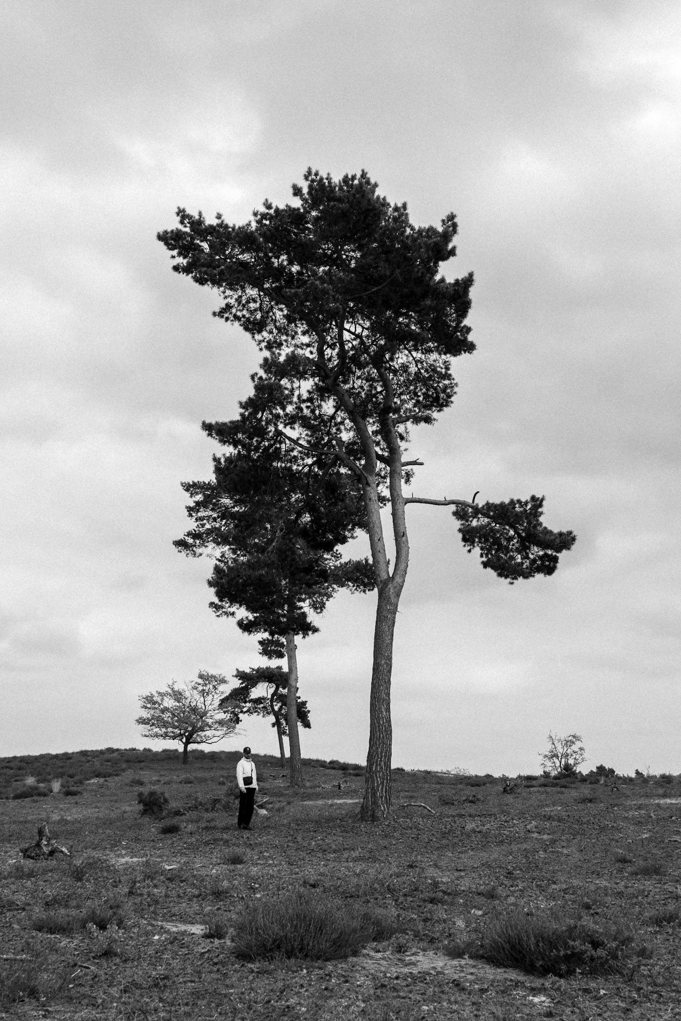 Arcen, 2022, Digital