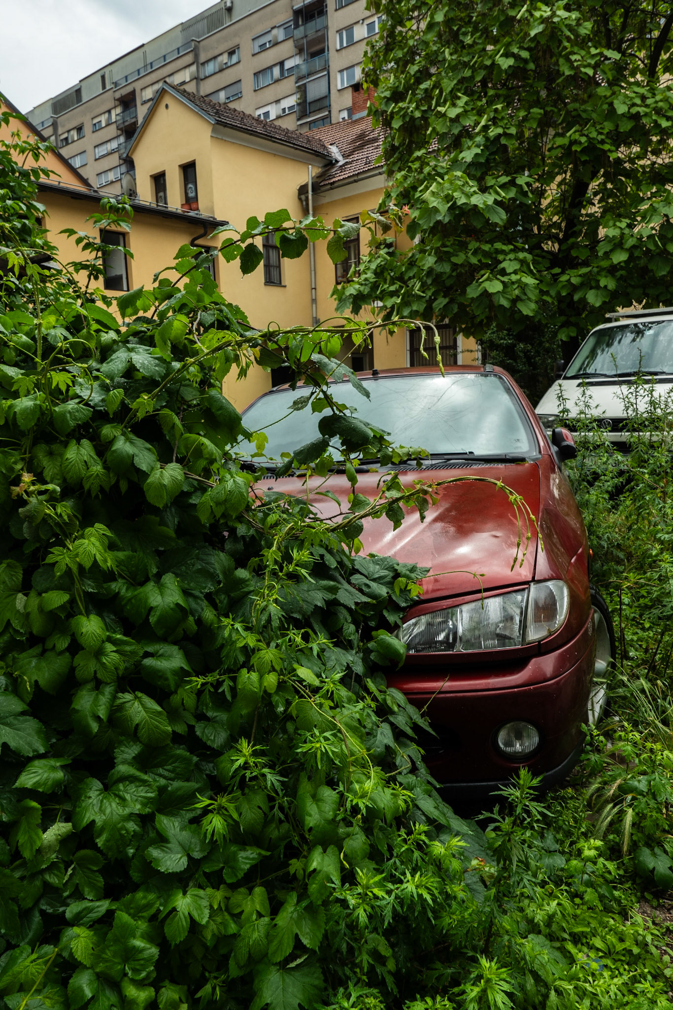 Ljubljana, 2023, Digital
