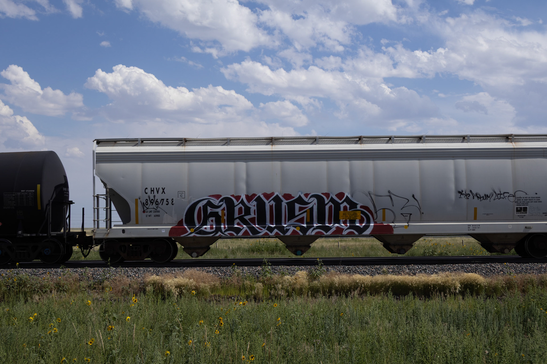 GRUSM 1