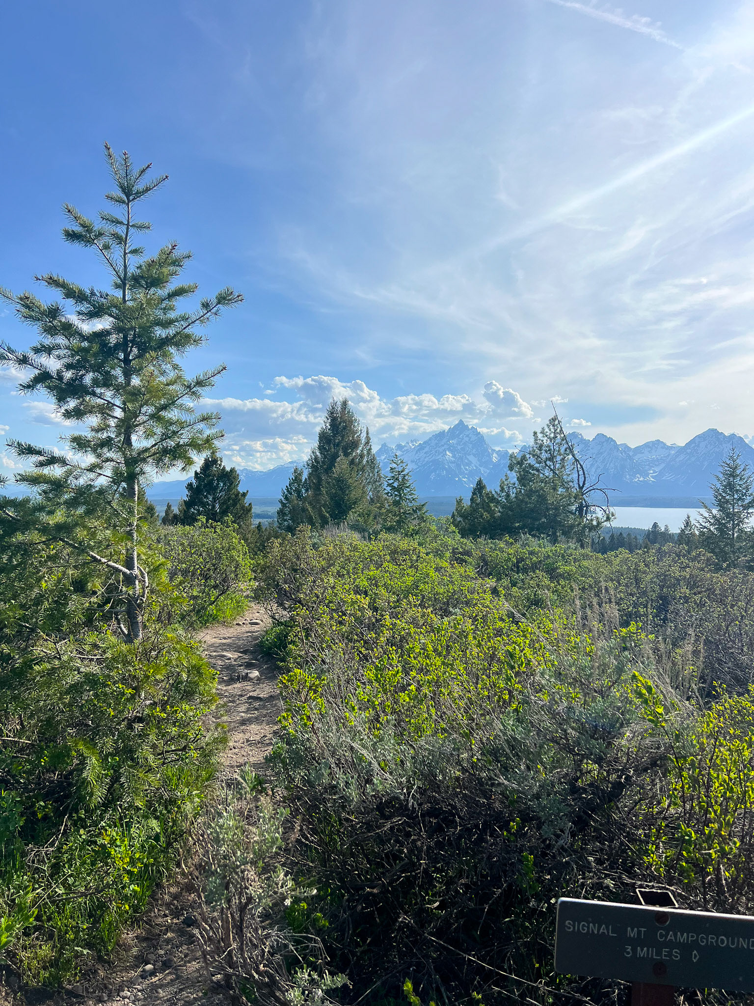 Signal Mountain summit