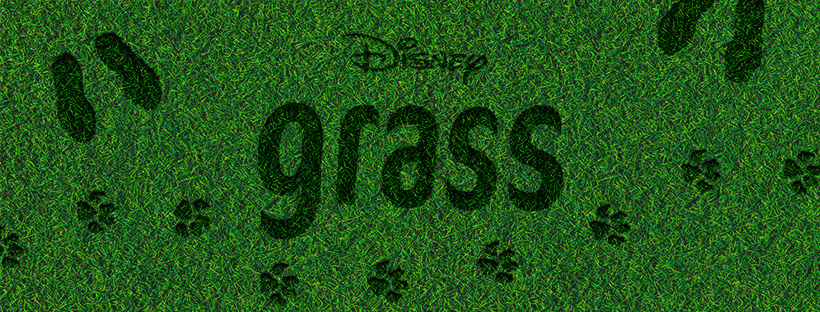 Facebook Cover