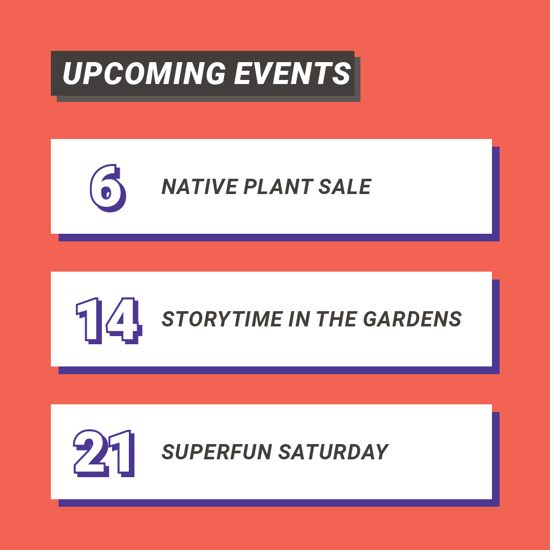 As the saying goes, April showers bring May events at Philbrook! (Okay, we might have used a bit of creative license with that one). Mark your calendar with some of these fun events!