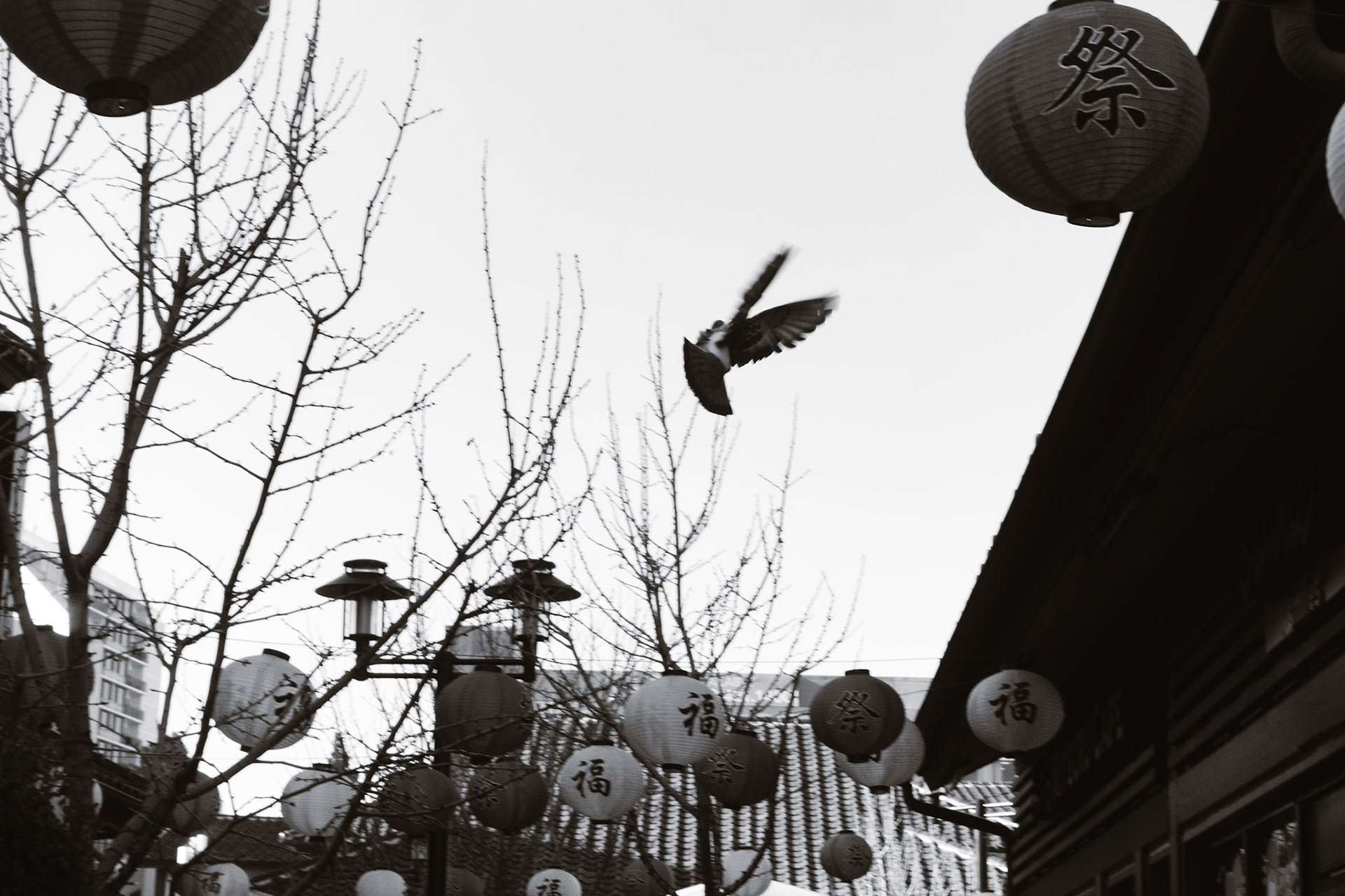 Shot on Sony RX100V in Little Tokyo