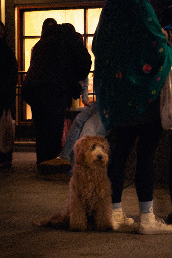 Shot on Sony RX100V in Little Tokyo