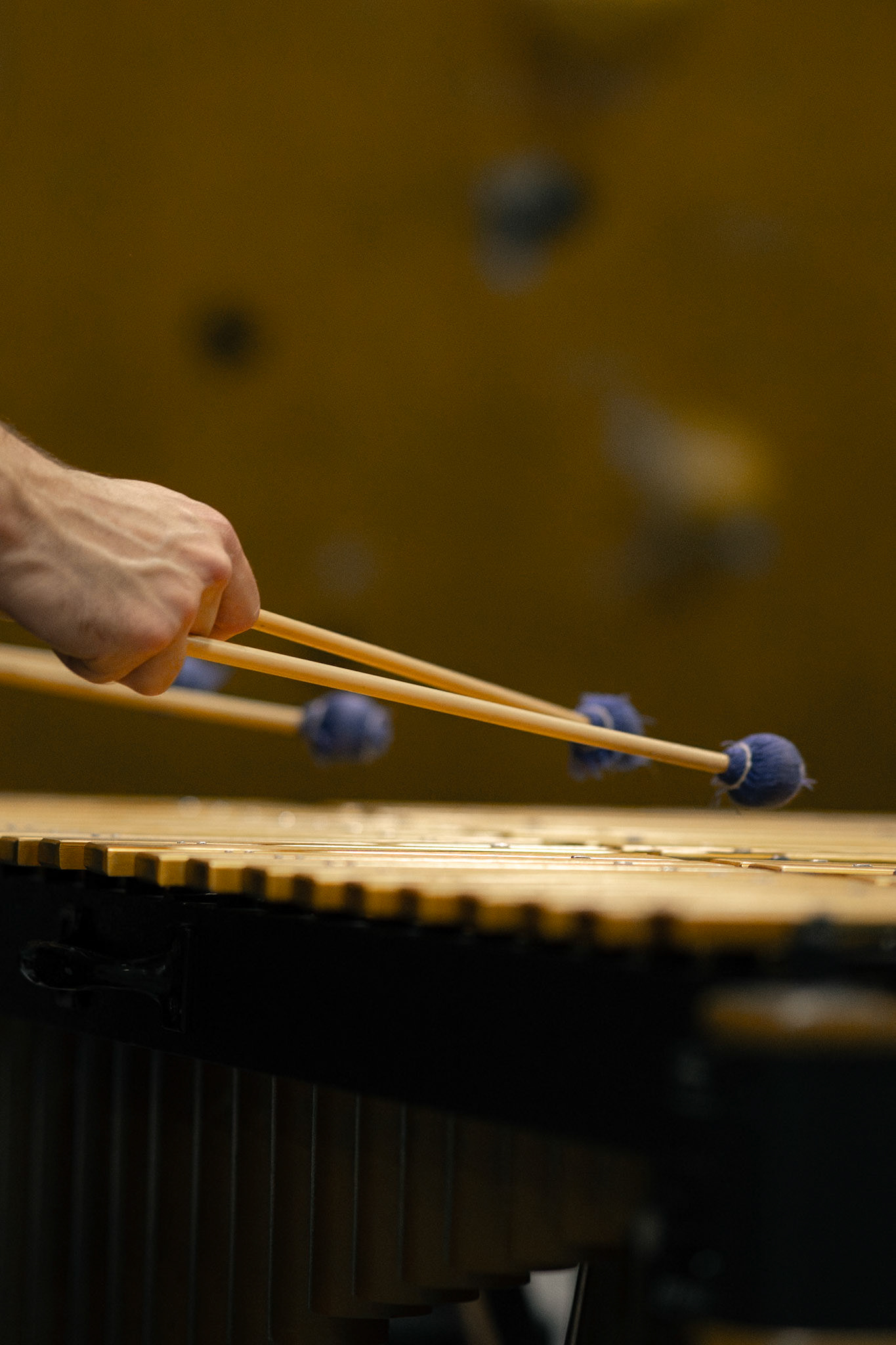 Jake Chapman playing the vibraphone. Photographed by Francisco Santiago on 2025.05.28 at LA Boulders in Los Angeles, CA. Shot using a Sony A7III.