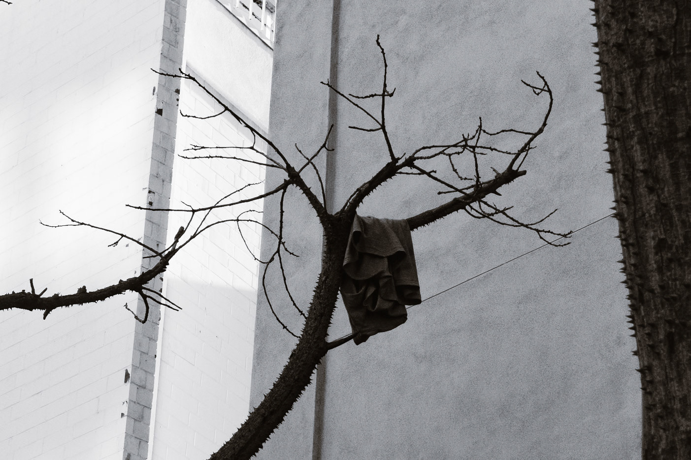 Shot on Sony RX100V in Little Tokyo