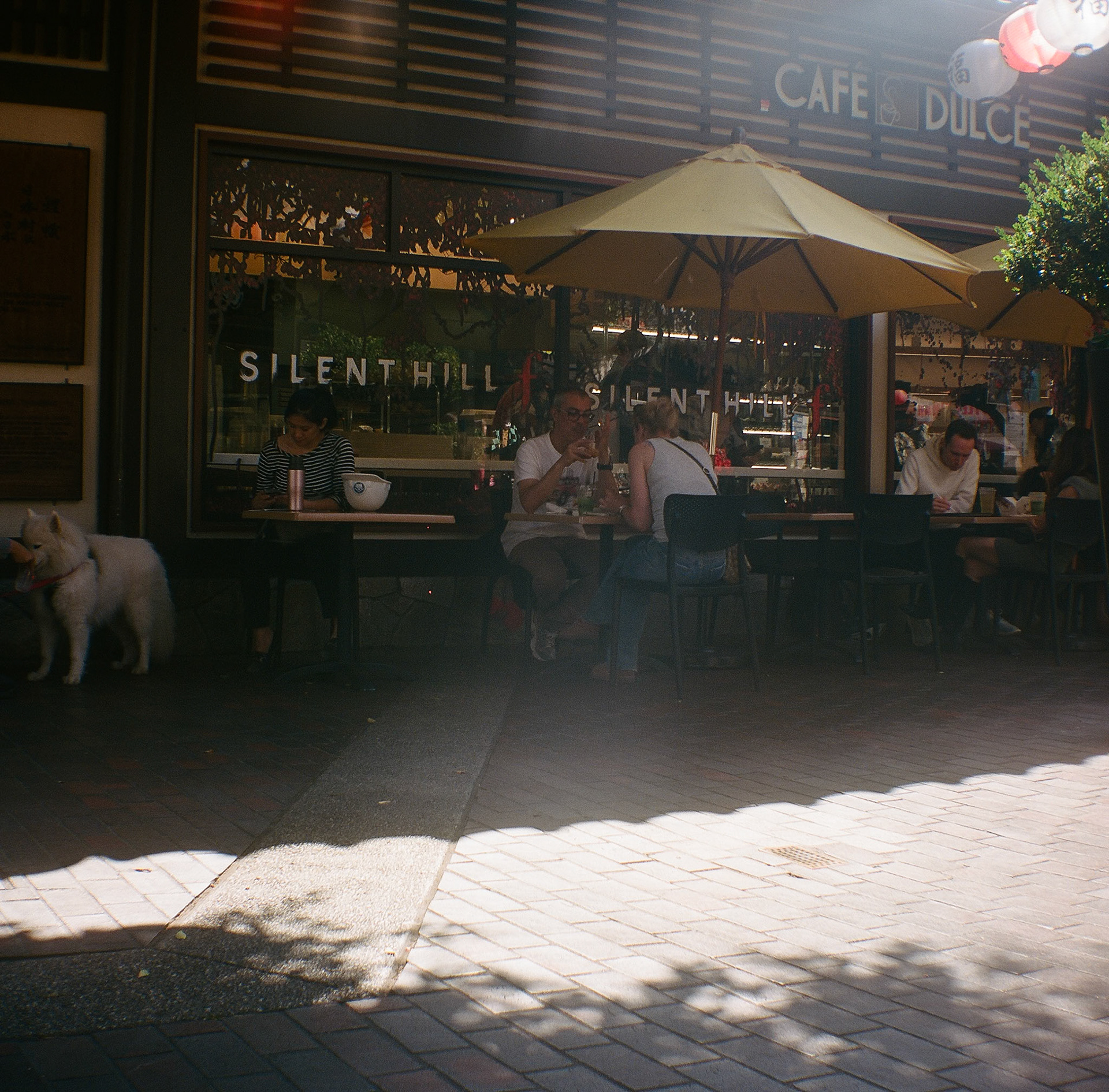 Shot on Kodak Brownie Hawkeye with Kodak Portra 400.