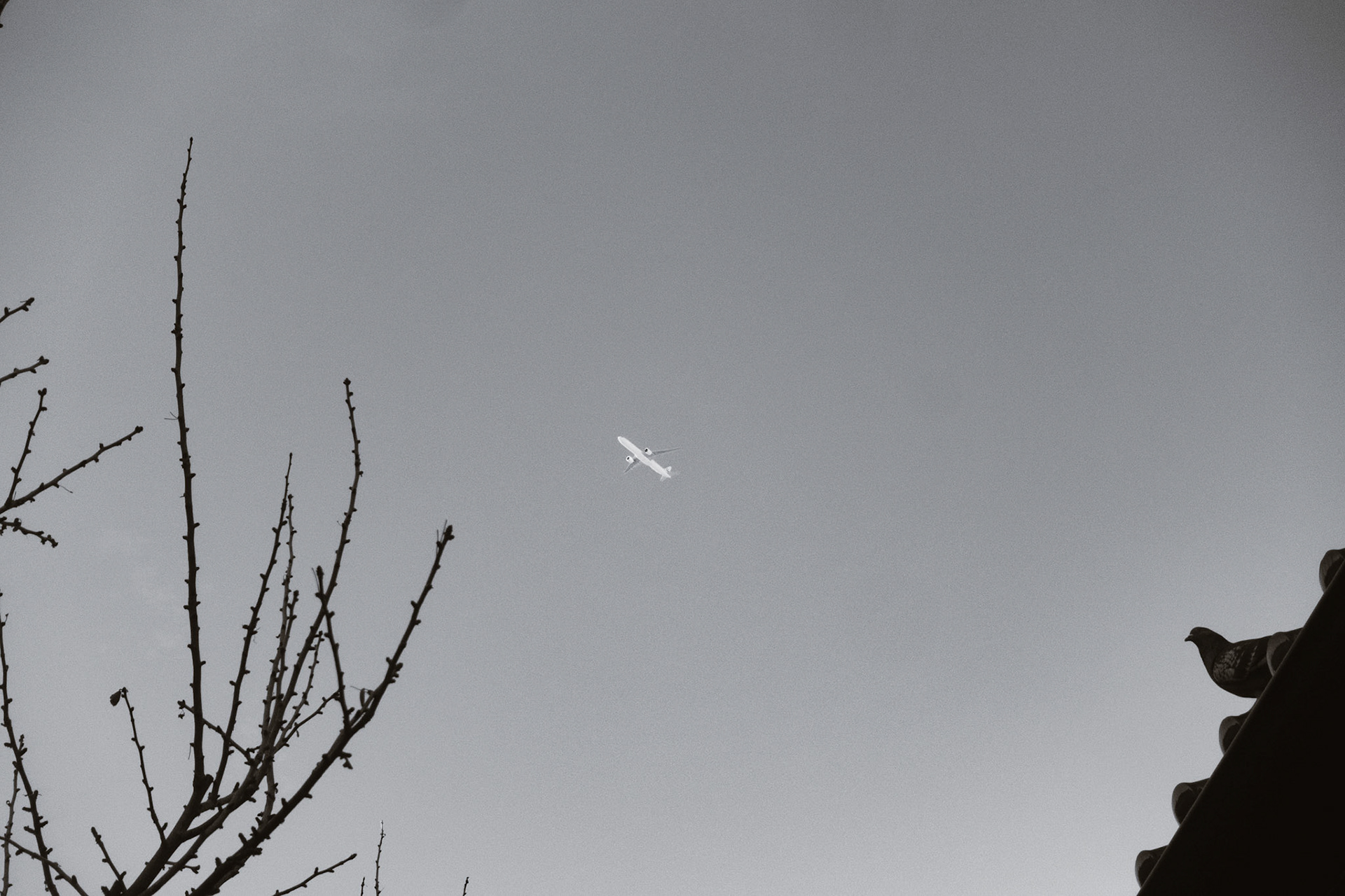 Shot on Sony RX100V in Little Tokyo