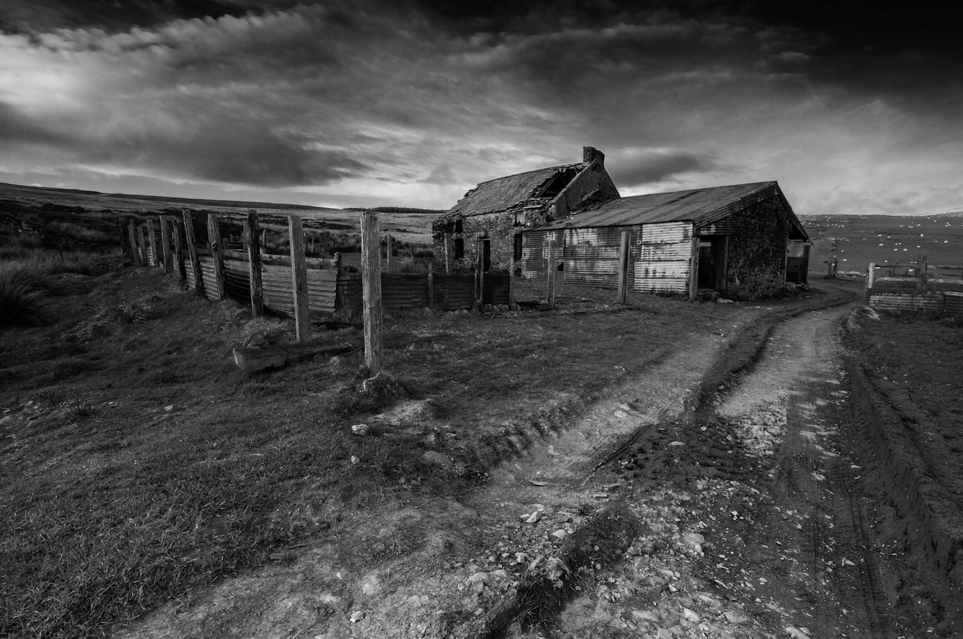 Mynydd Y Preseli, Wales