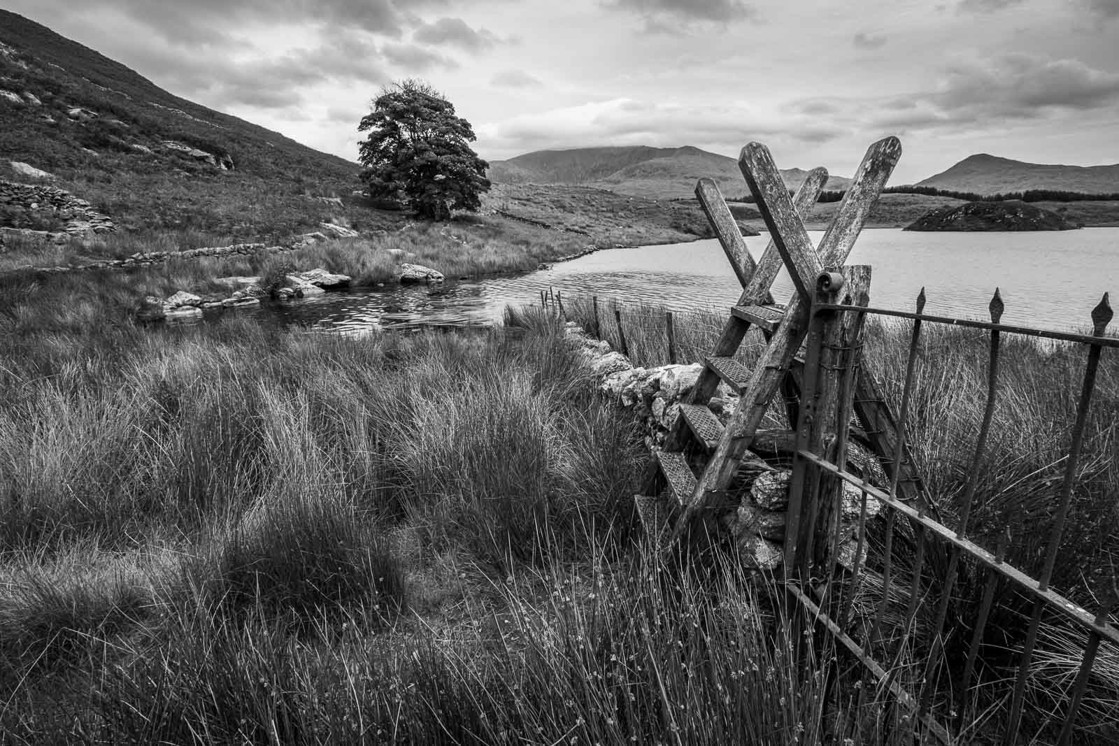 Llyn y Dywarchen, Betws-y-Coed