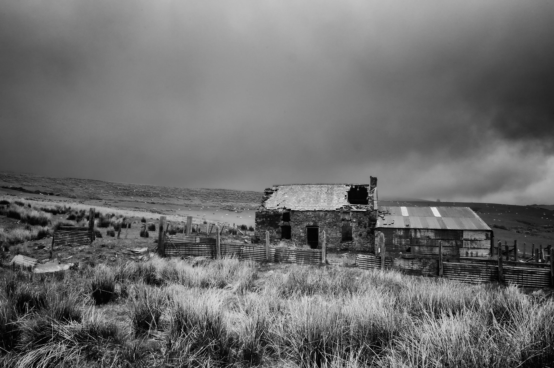 Mynydd Y Preseli, Wales