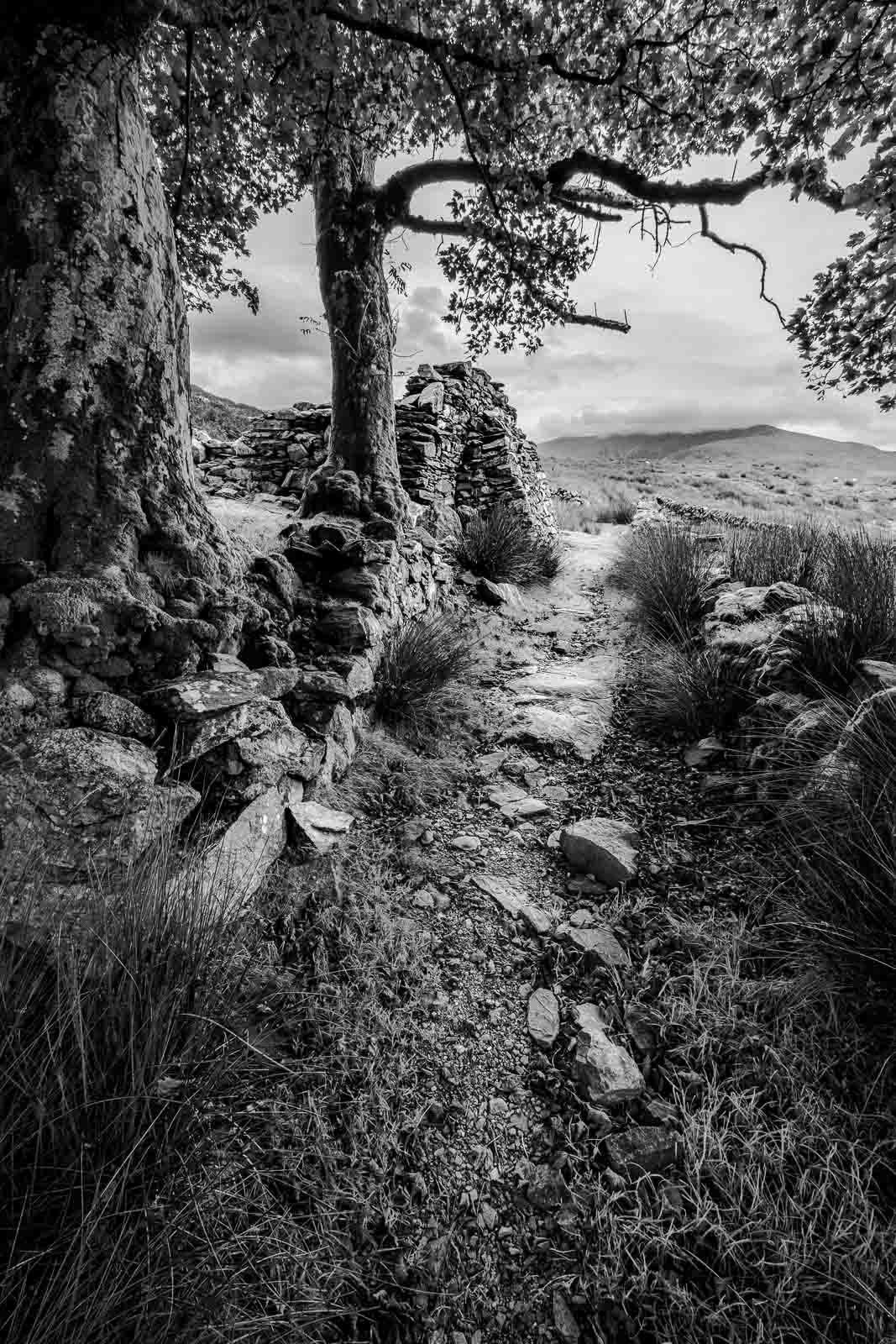 Llyn y Dywarchen, Betws-y-Coed