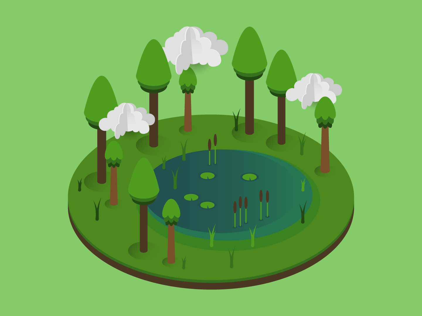 syrenis swamp illustration