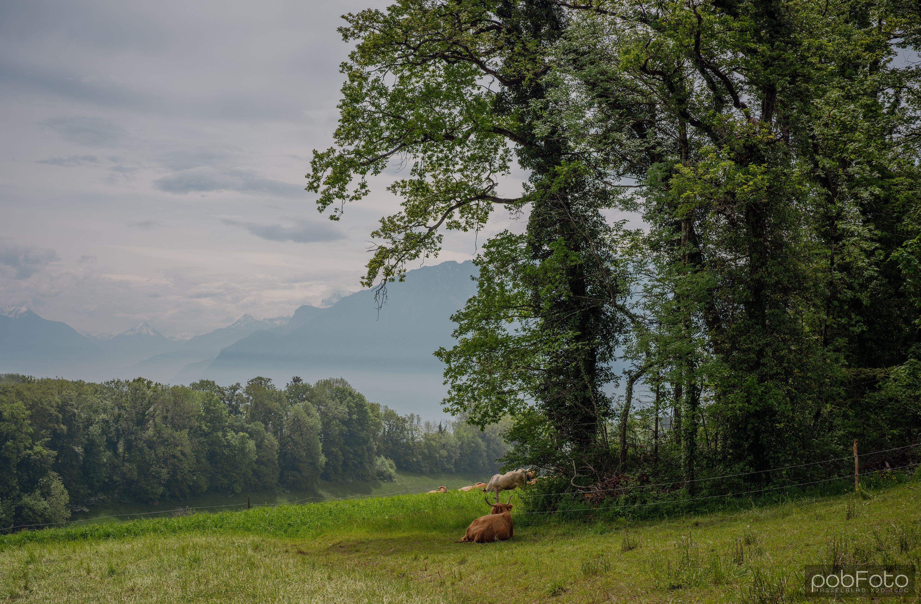 Puidoux, Suisse