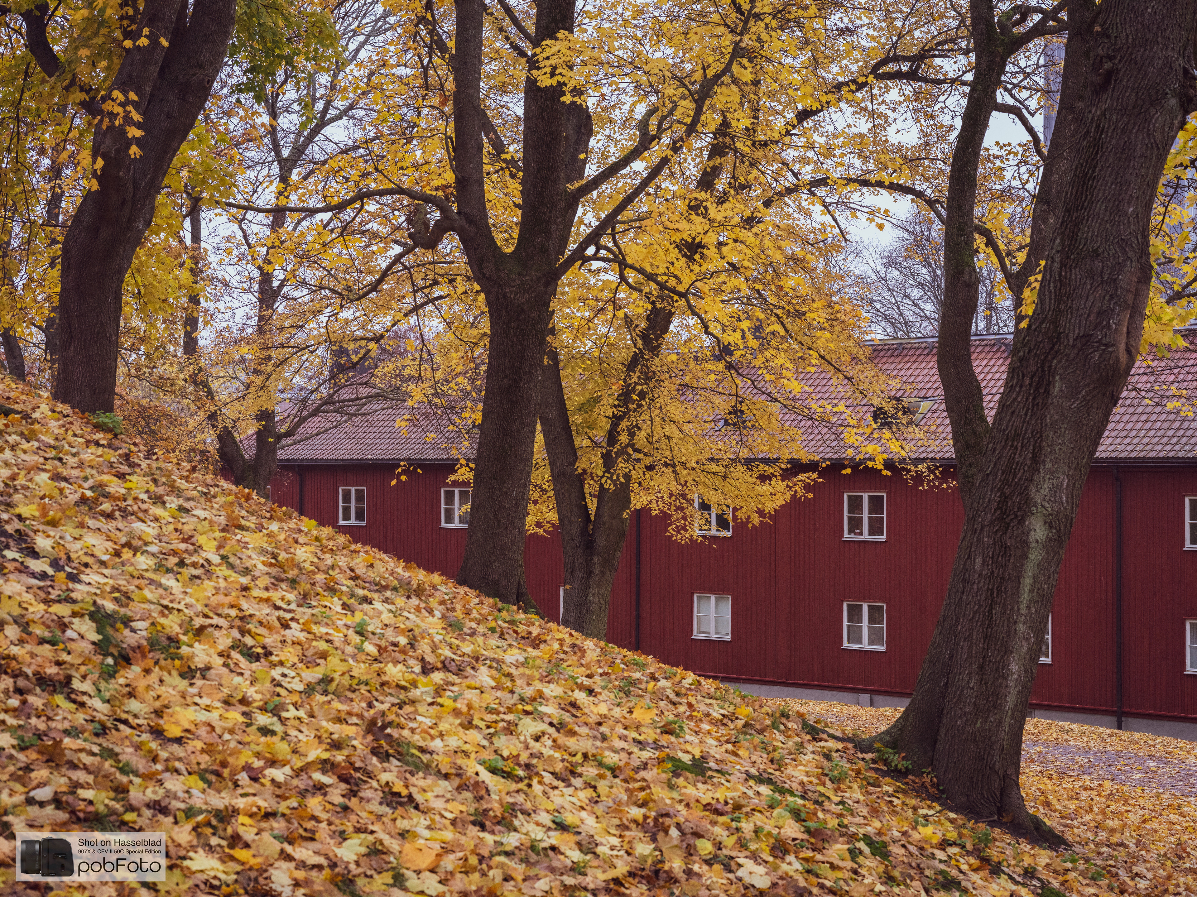 Vanadislunden