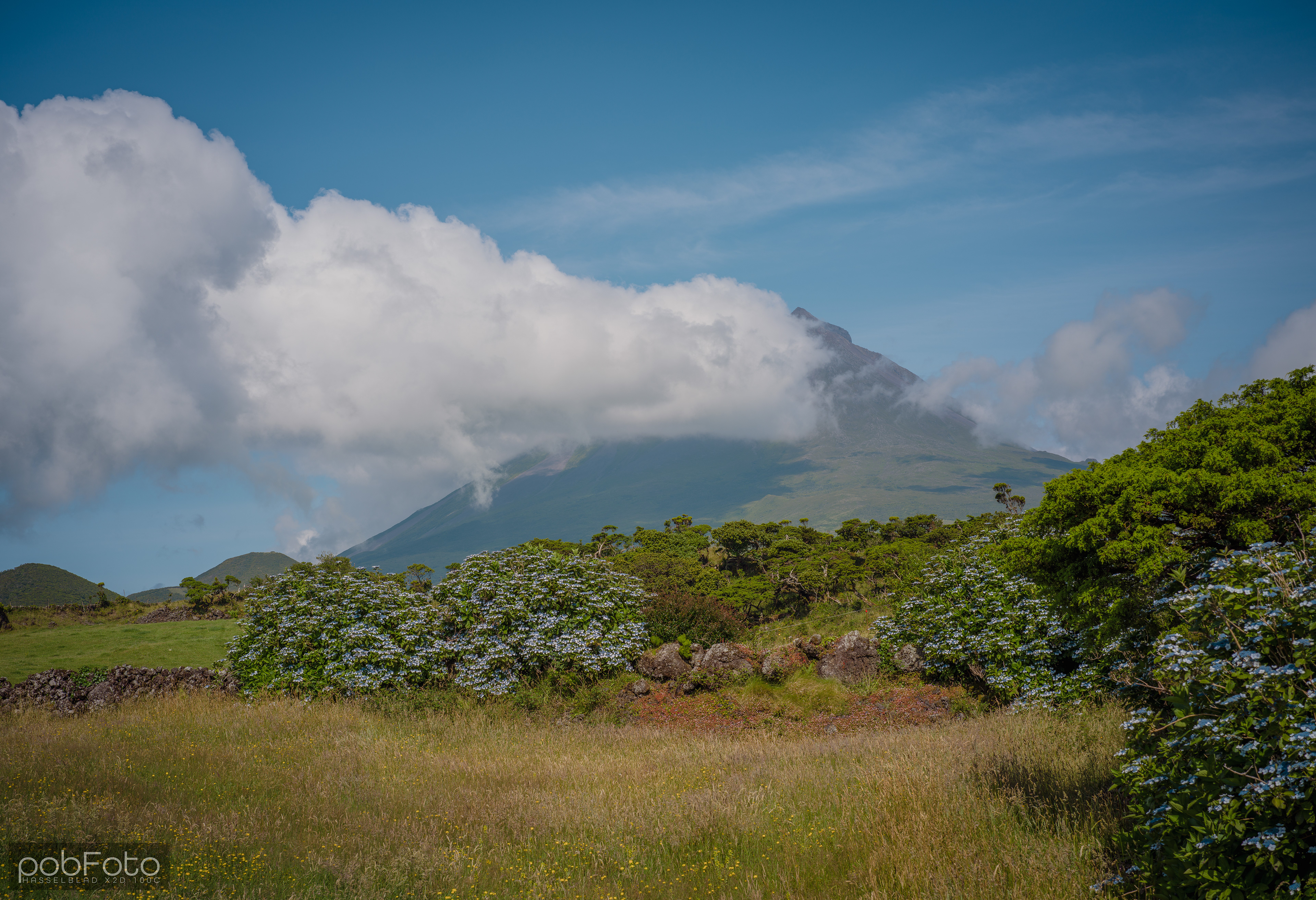 Ponta do Pico