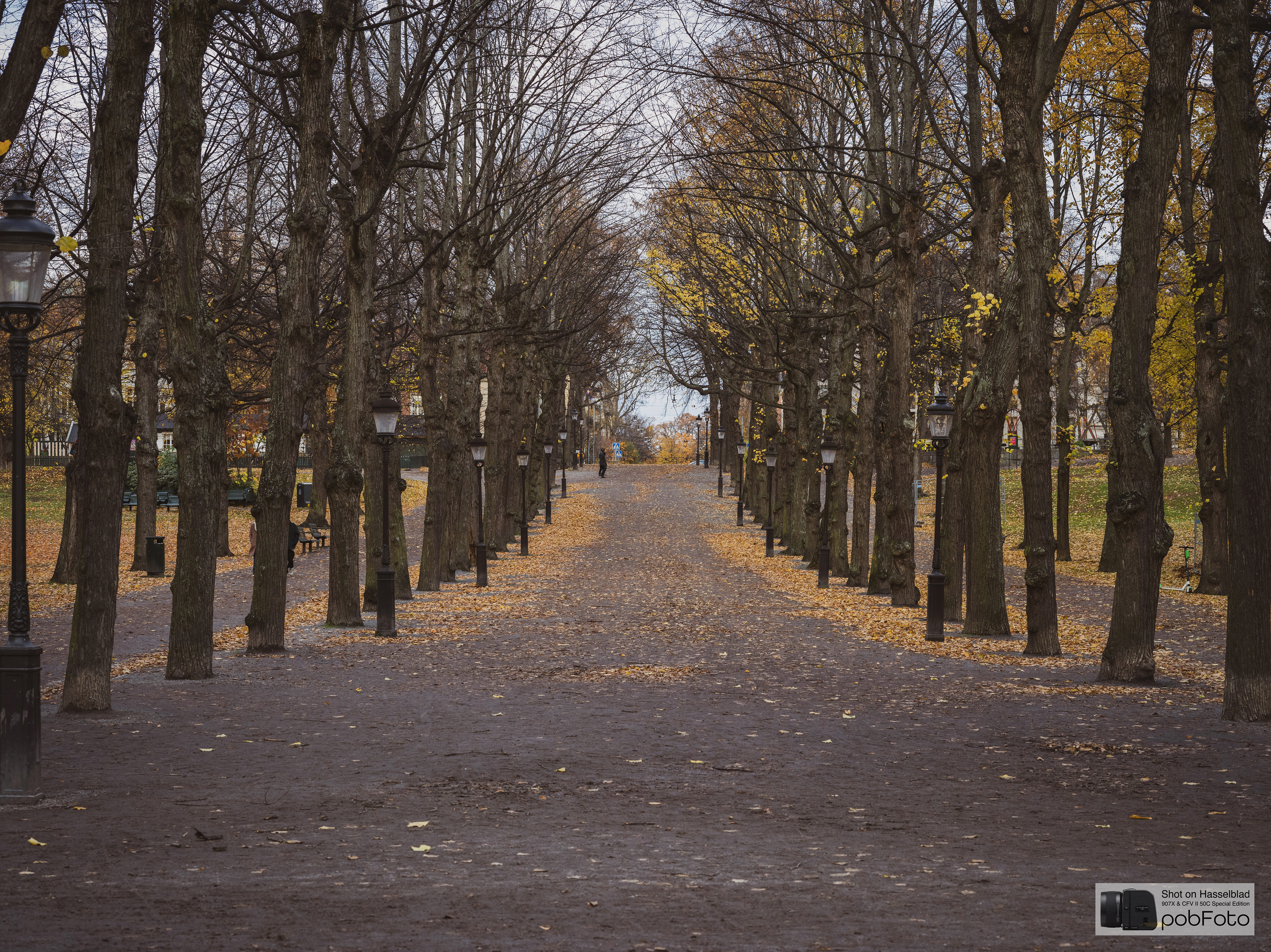 Humlegården