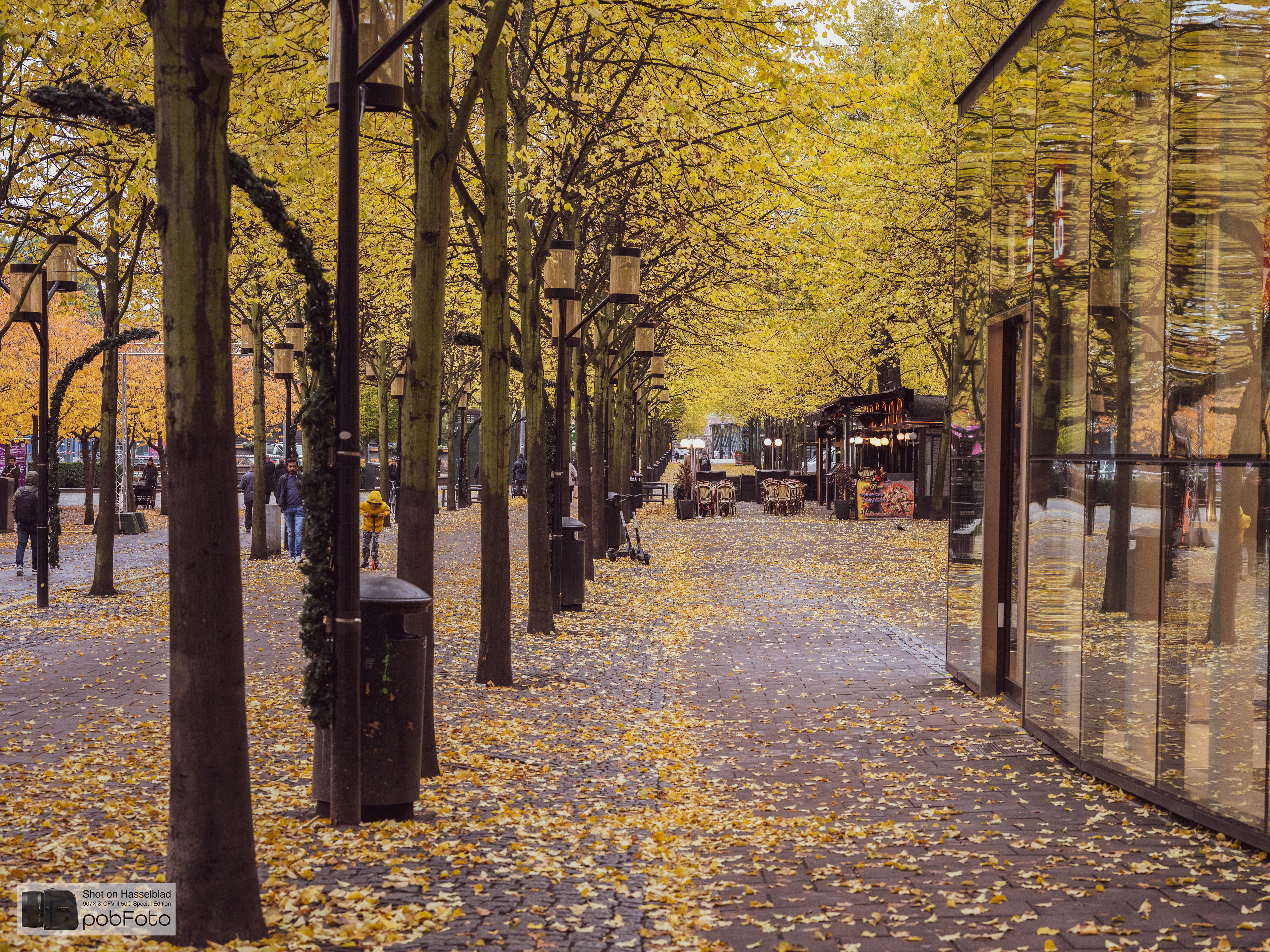 Kungsträdgården
