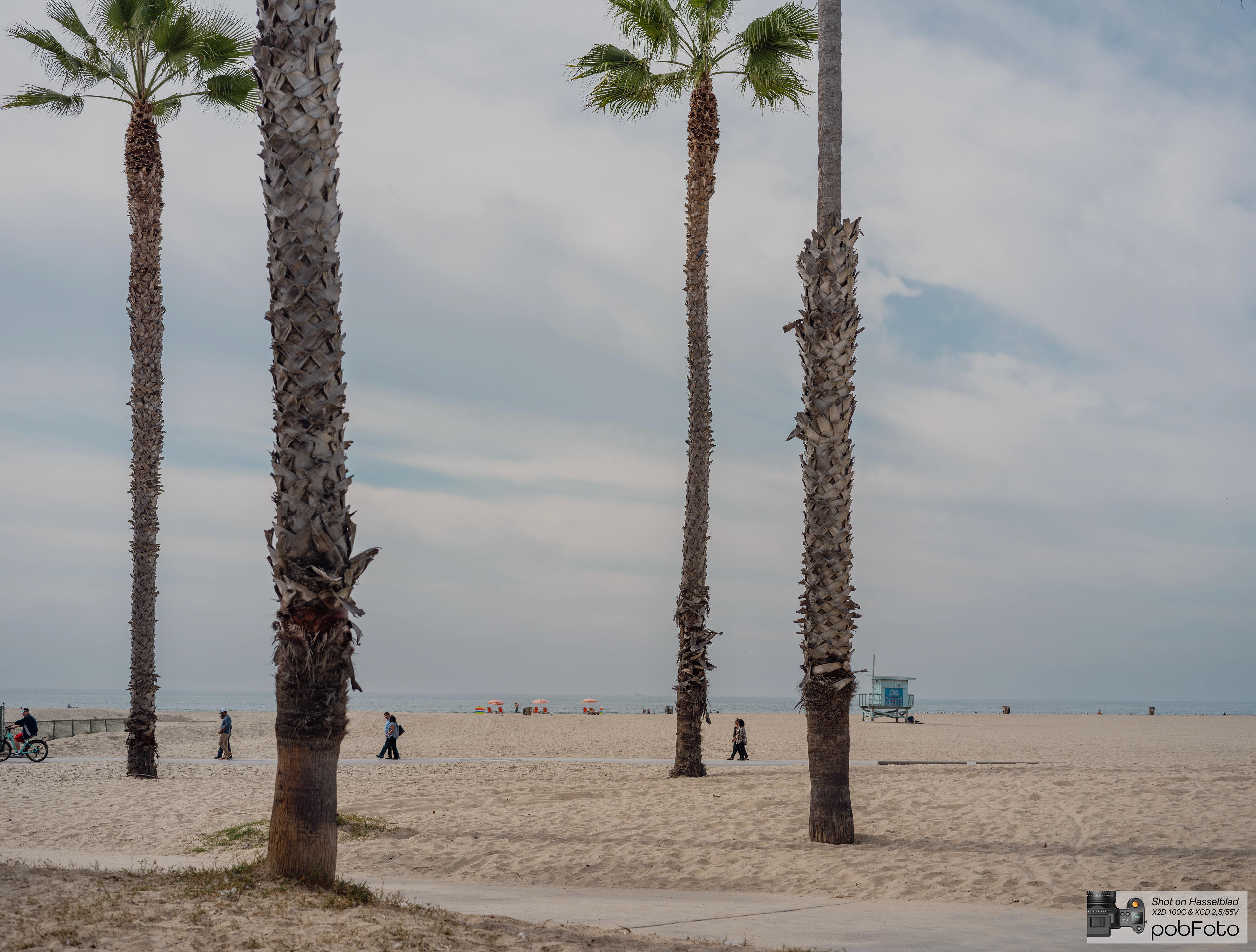 Venice Beach