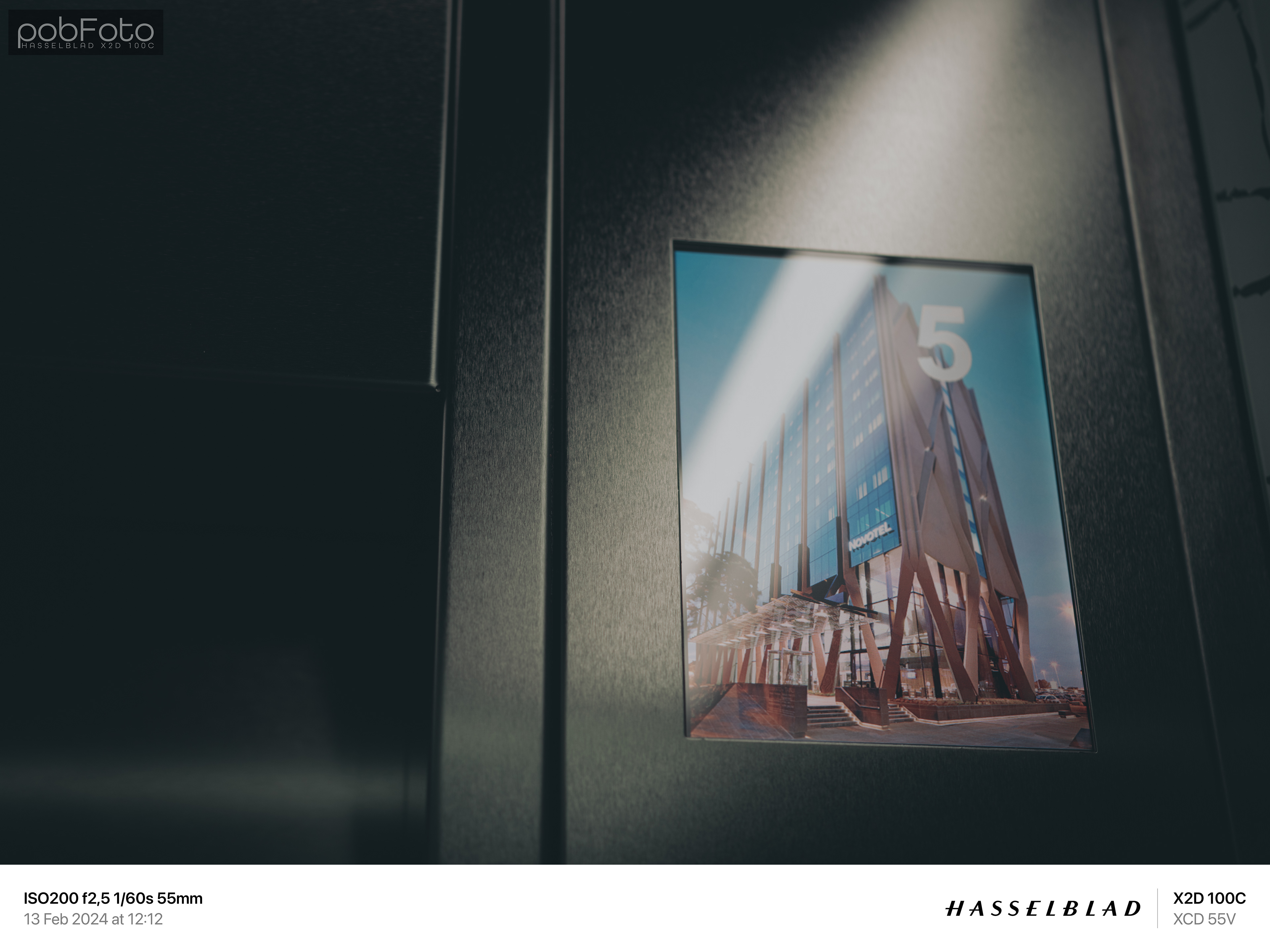 Auckland - New Zealand