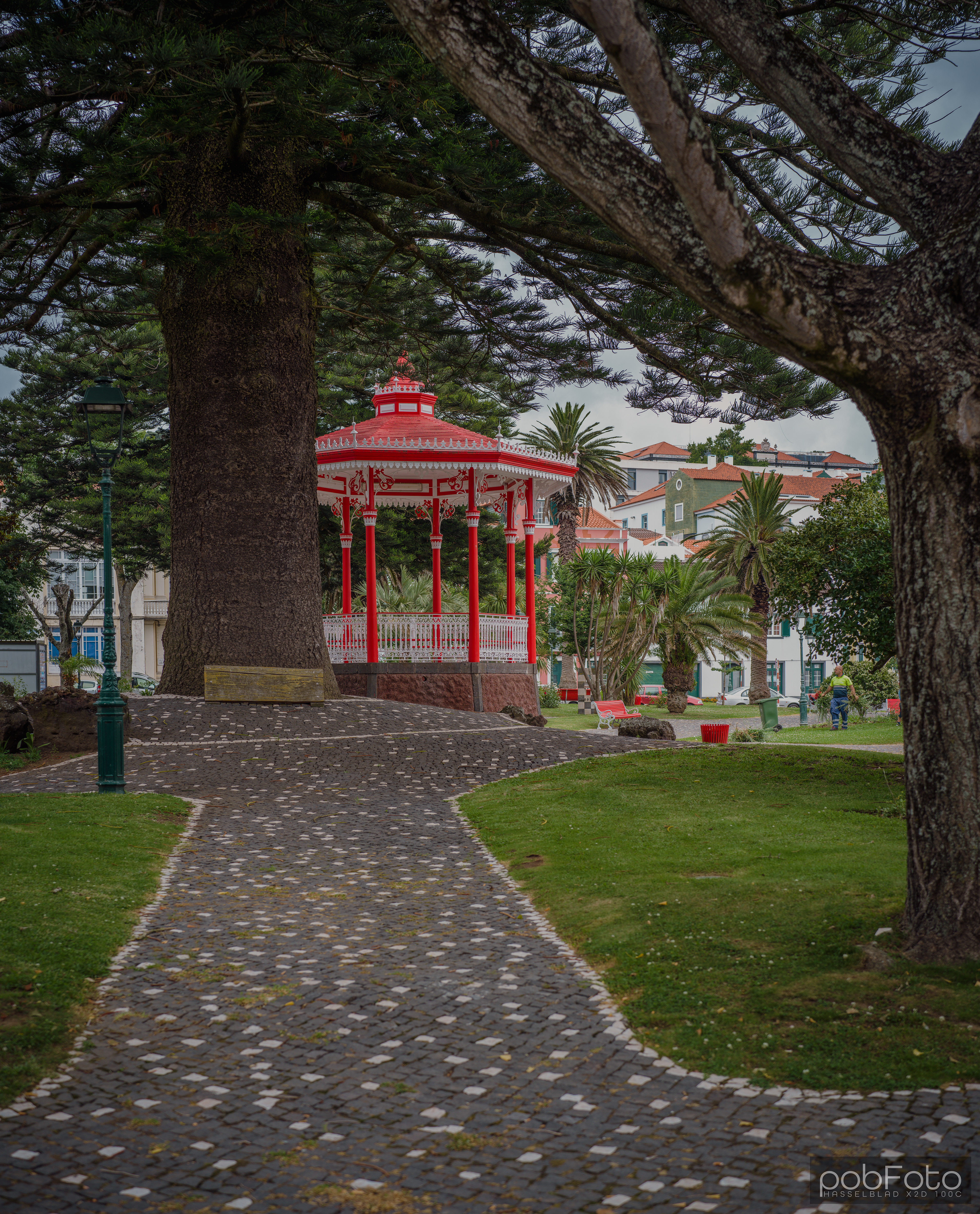 Horta, Faial Island