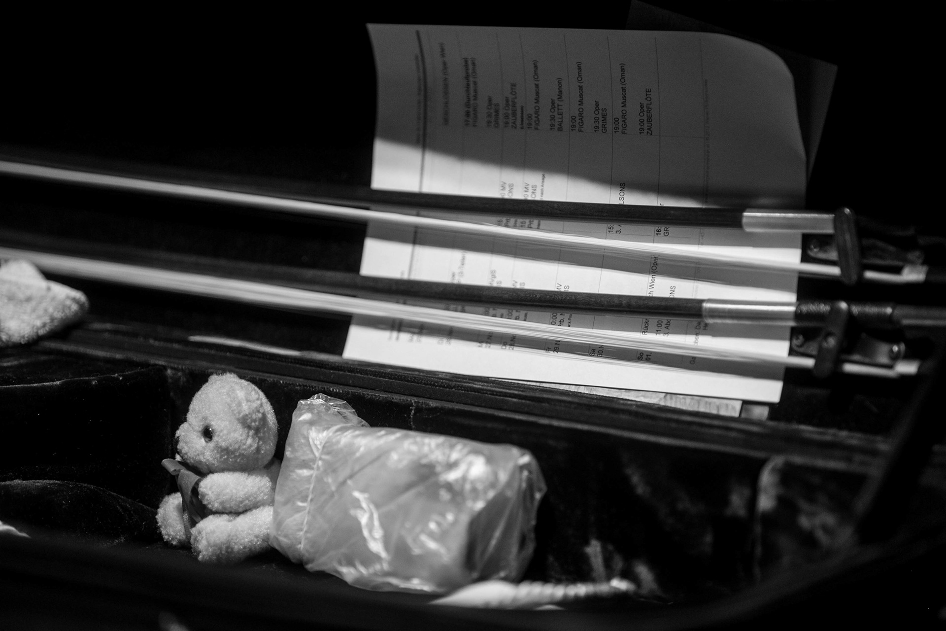 VIENER PHILHARMONIKER CLASSICAL PHOTOGRAPHY CLASSICAL MUSIC