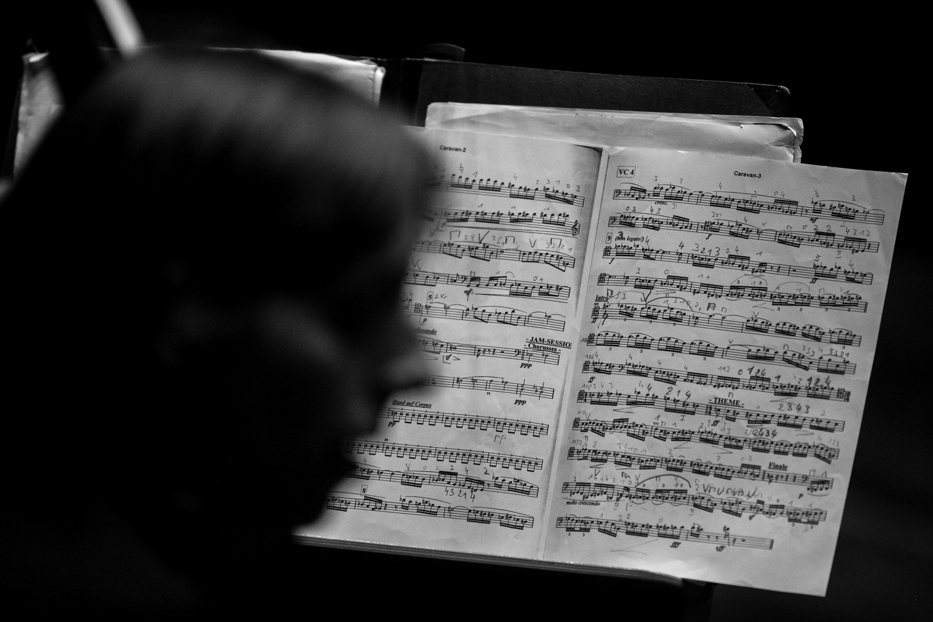 DIE 12 CELLISTEN DER BERLINER PHILHARMONIKER CLASSICAL MUSIC PHOTOGRAPHY