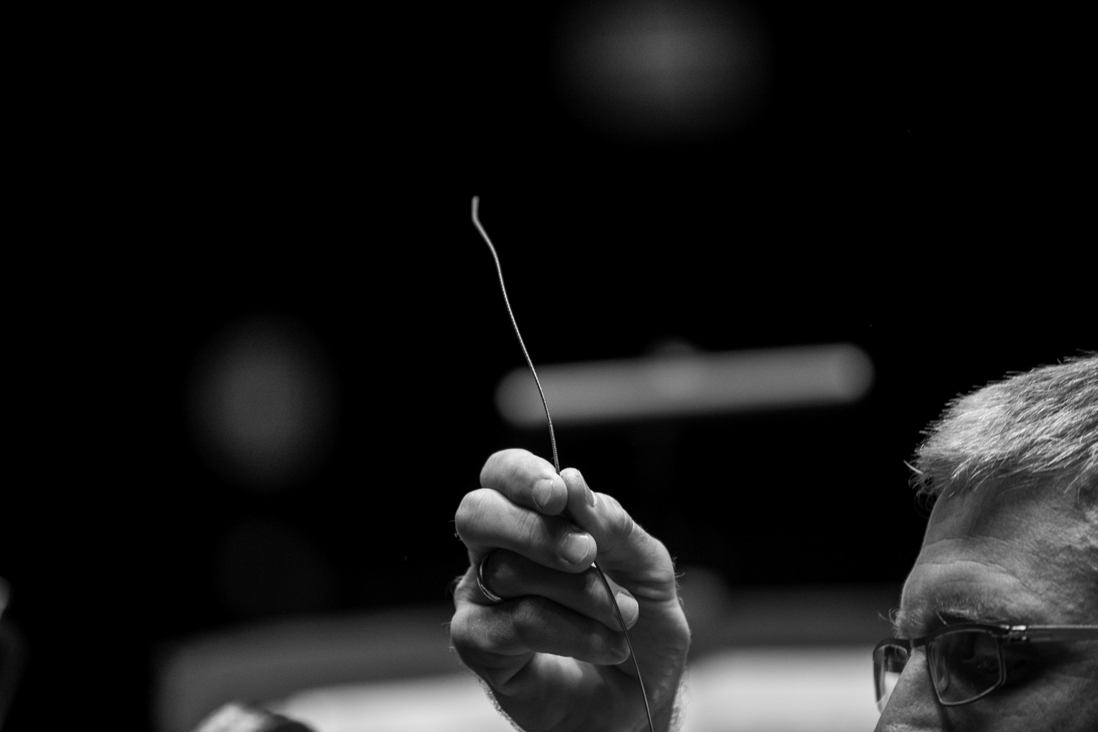 DIE 12 CELLISTEN DER BERLINER PHILHARMONIKER CLASSICAL MUSIC PHOTOGRAPHY