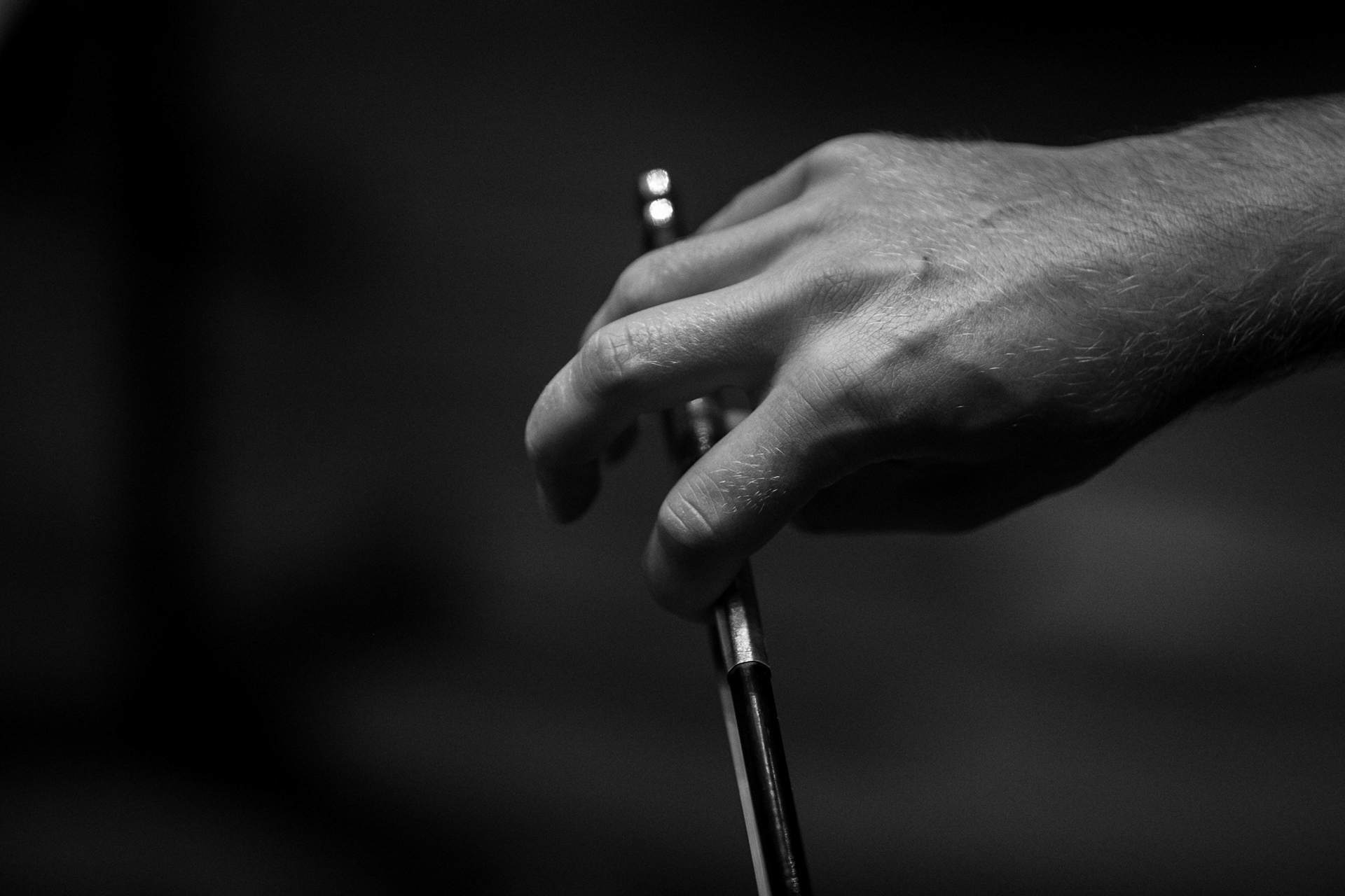 DIE 12 CELLISTEN DER BERLINER PHILHARMONIKER CLASSICAL MUSIC PHOTOGRAPHY