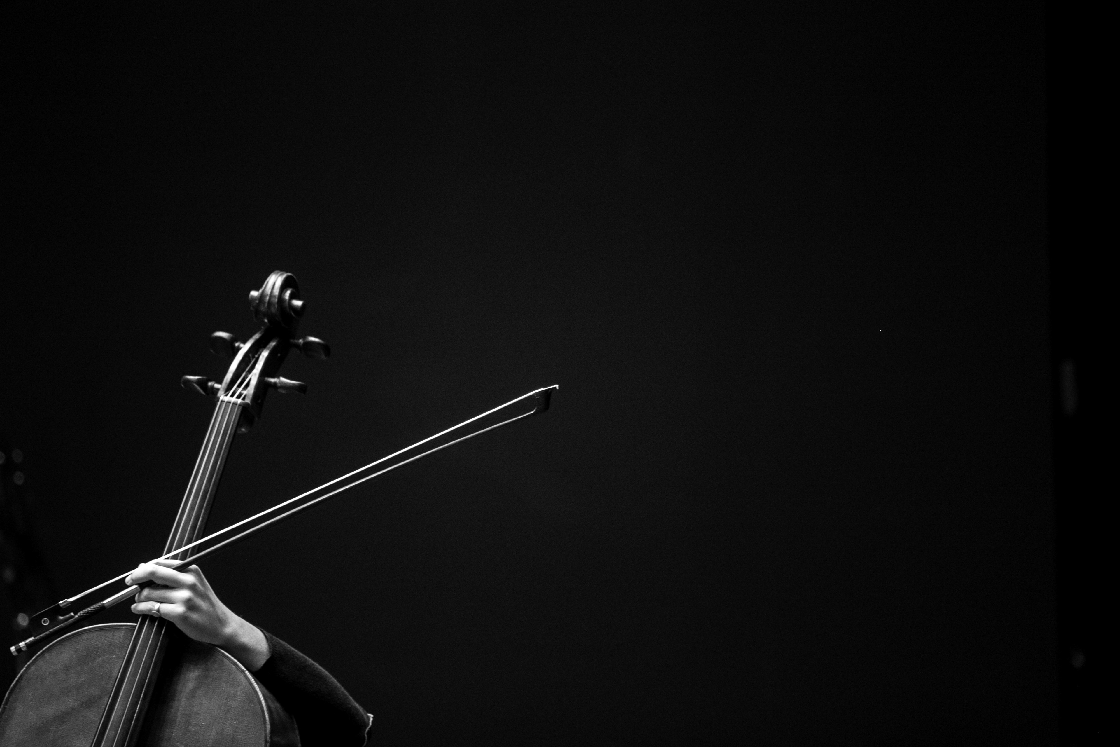 DIE 12 CELLISTEN DER BERLINER PHILHARMONIKER CLASSICAL MUSIC PHOTOGRAPHY