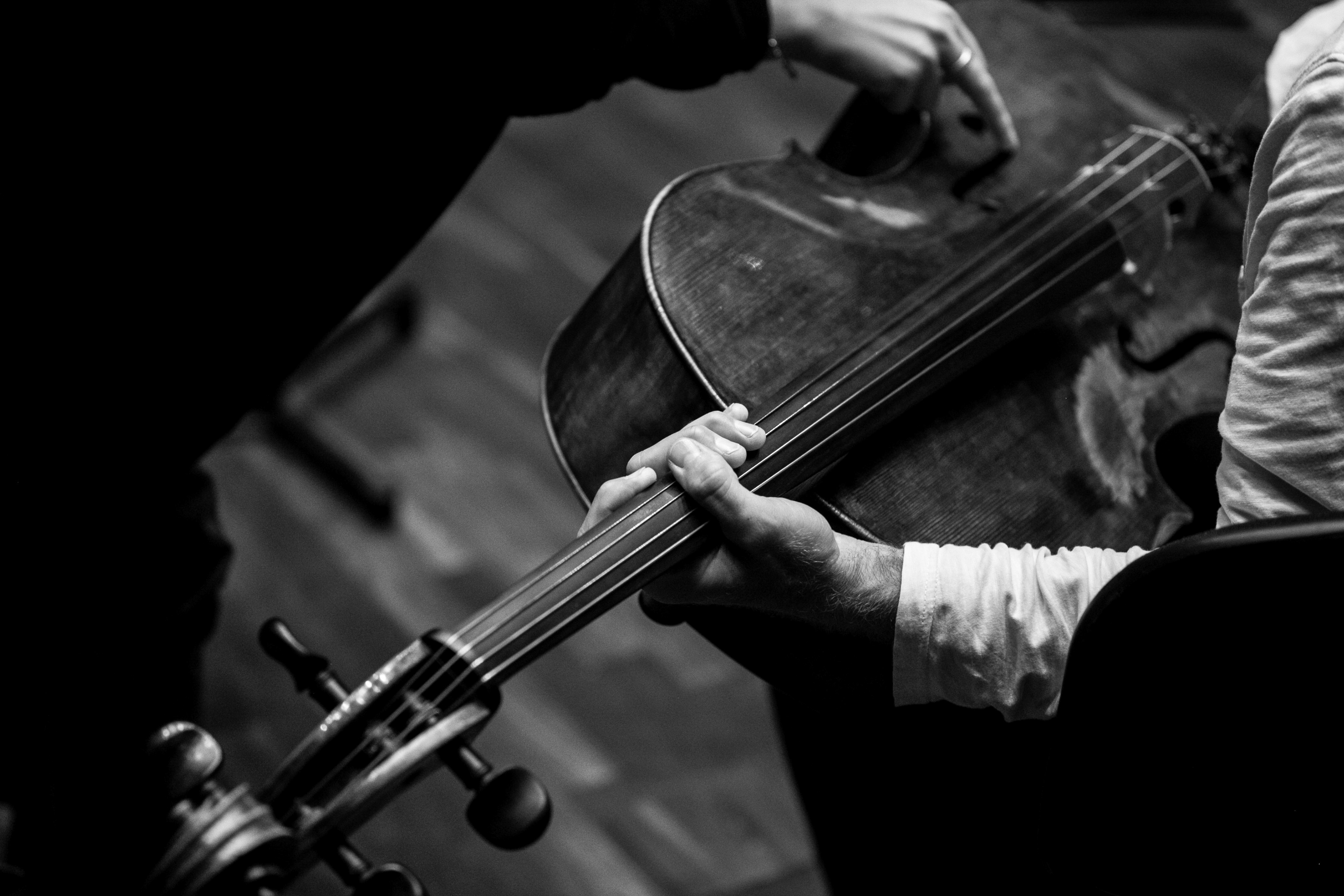 DIE 12 CELLISTEN DER BERLINER PHILHARMONIKER CLASSICAL MUSIC PHOTOGRAPHY