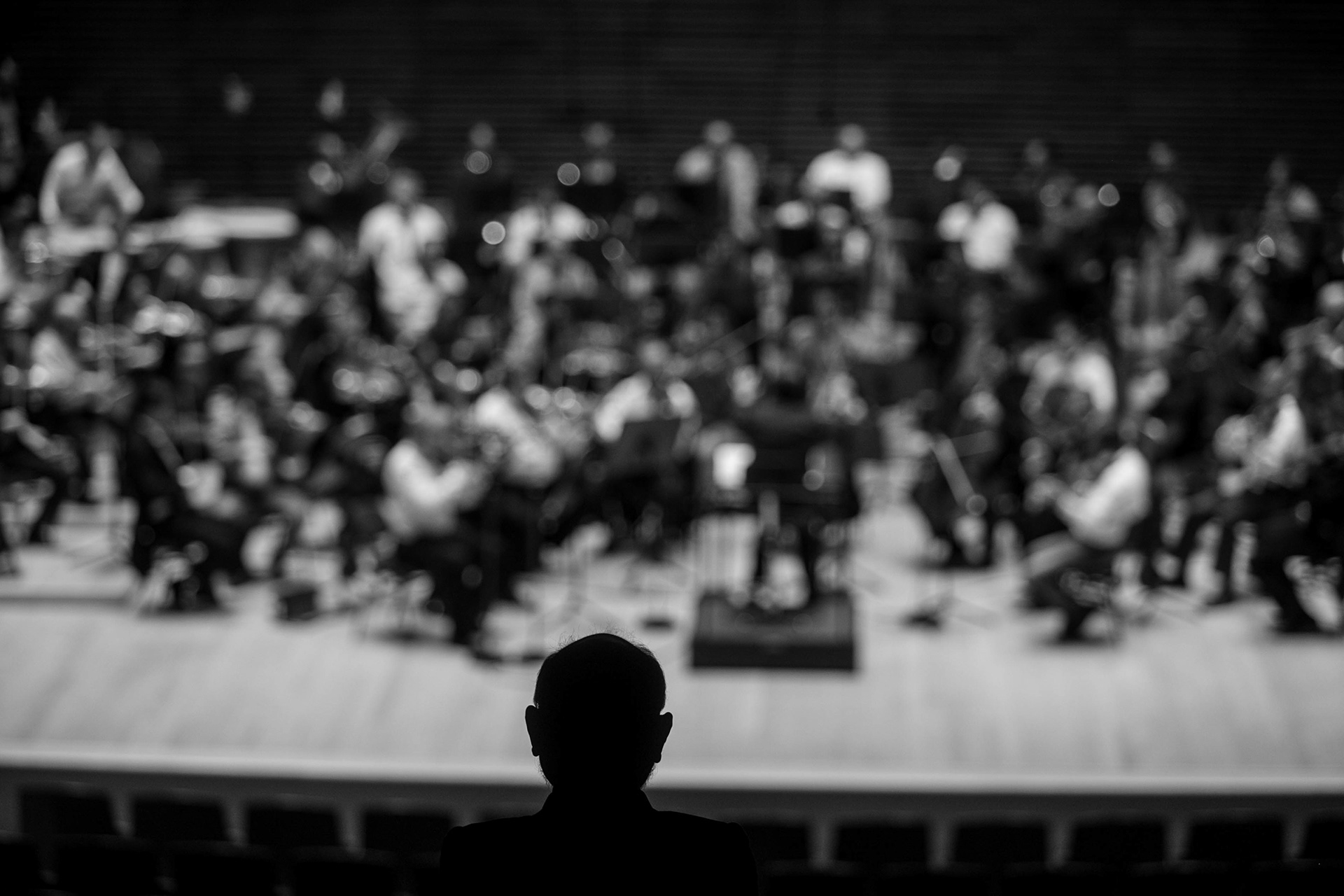 VIENER PHILHARMONIKER CLASSICAL PHOTOGRAPHY CLASSICAL MUSIC