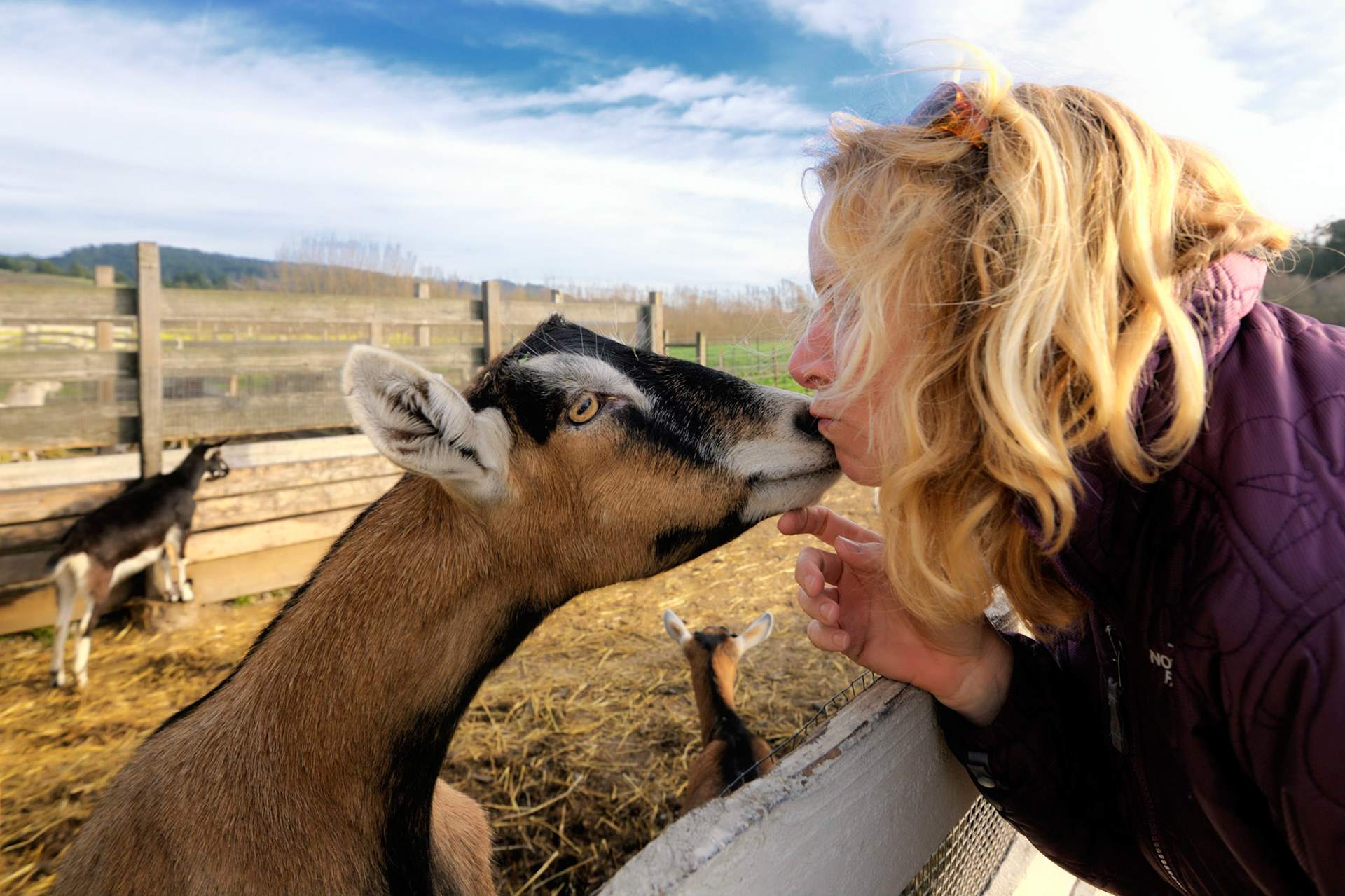 Harley Farms Goat Dairy