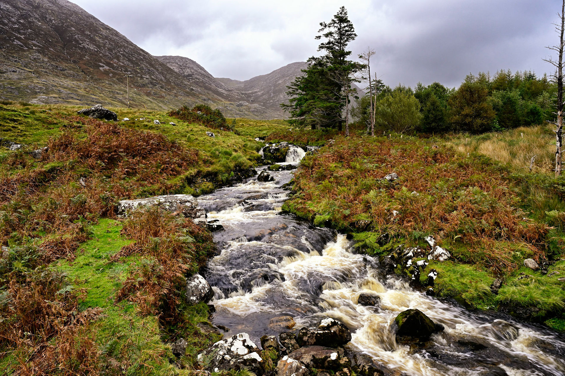 Two things we saw a lot of in Ireland: sheep and water