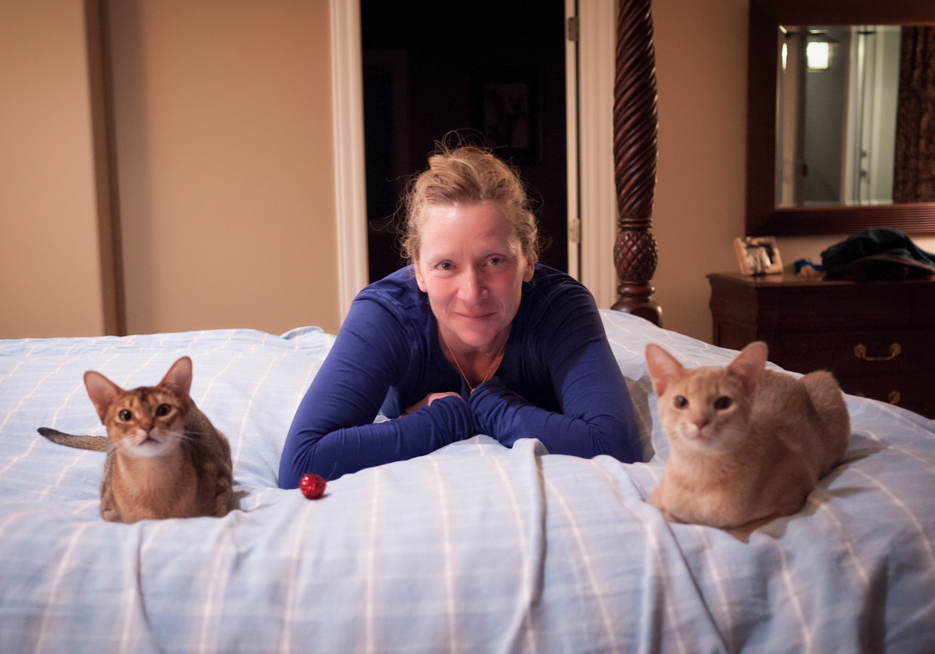 Zulu, Bunny and Jazz