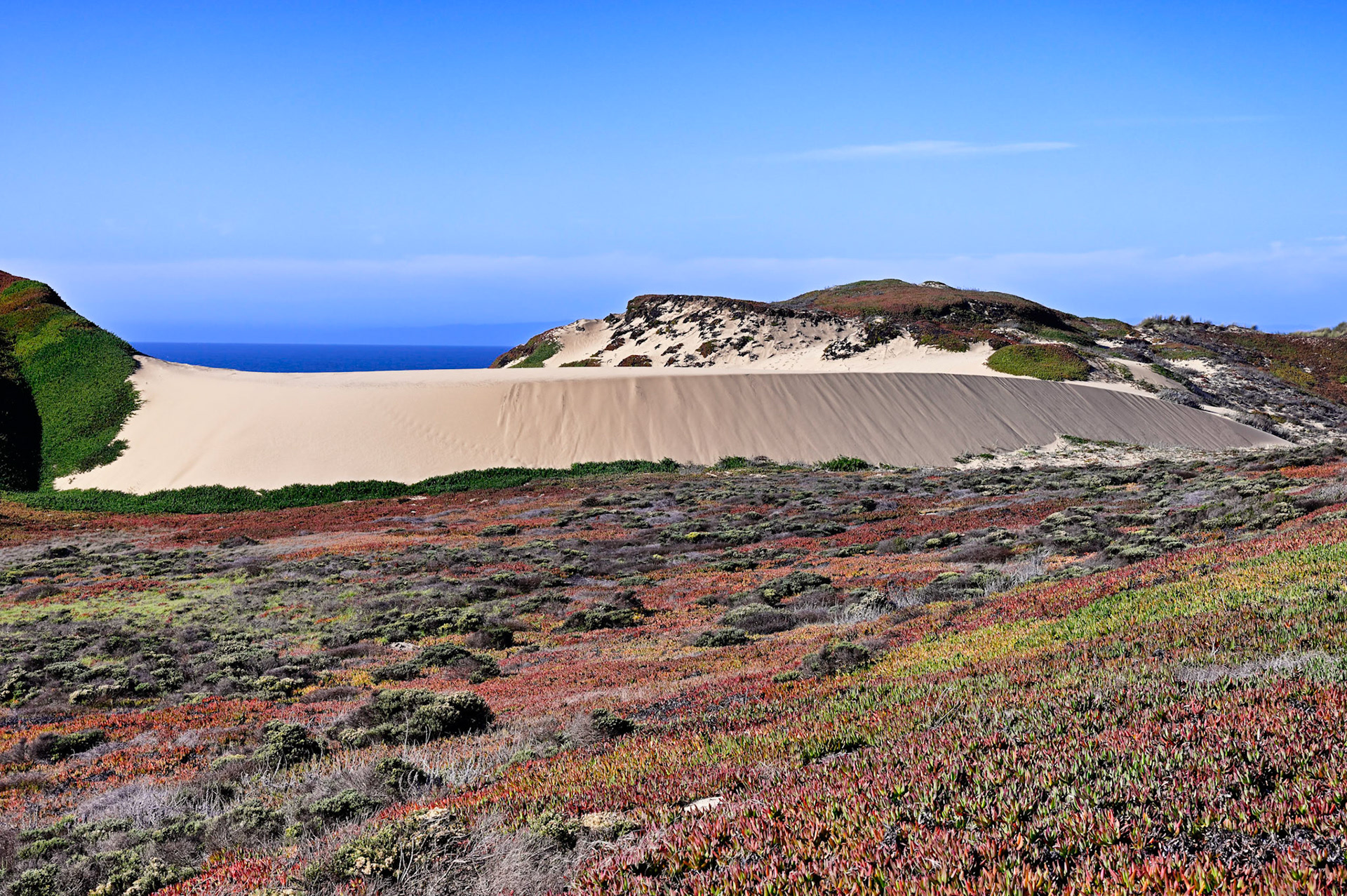 Fort Ord Dunes State Park