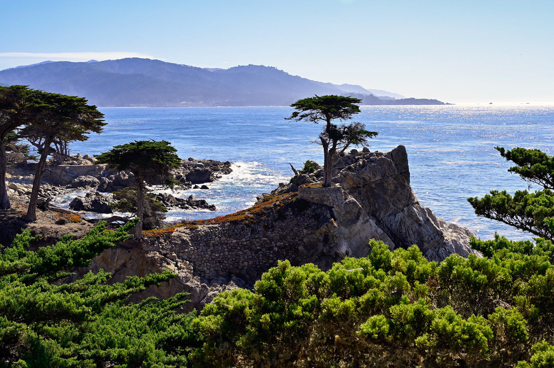 The Lone Cypress along 17-Mile Drive