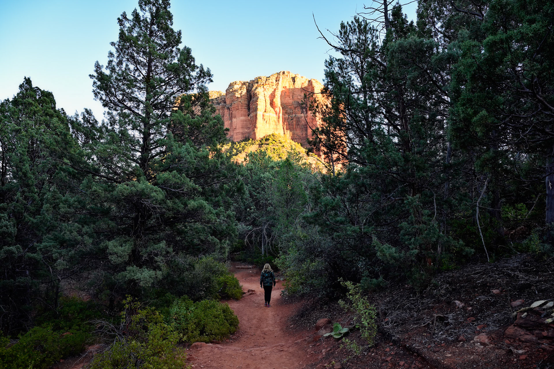 Bell Rock and Courthouse Butte Loop Trail