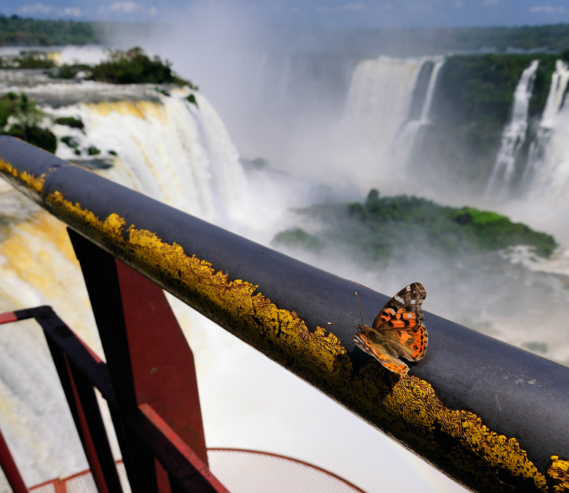 Butterfly's view of Iguazu Falls
