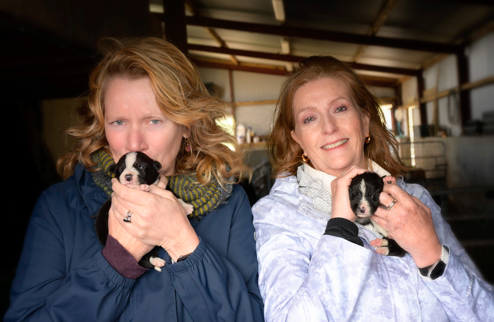 No, we didn't take them home