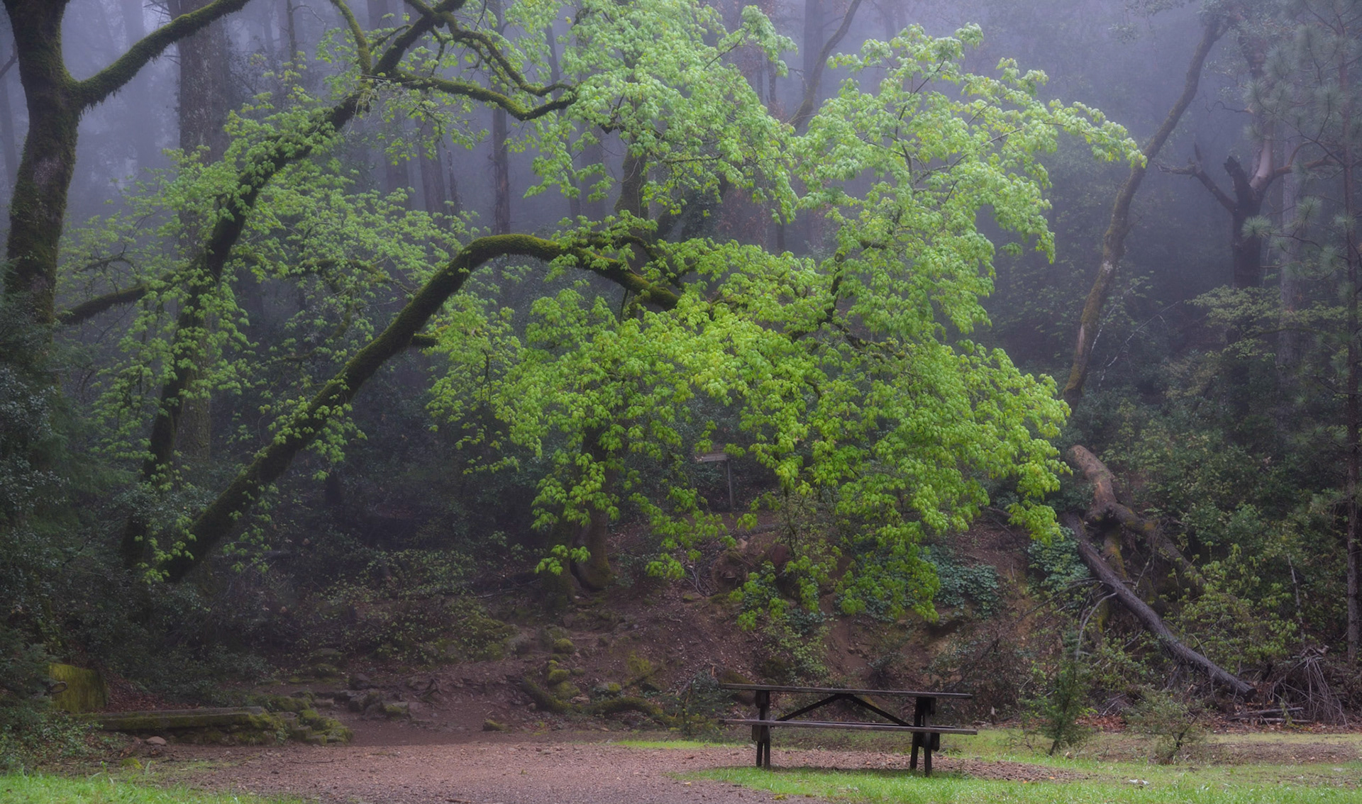 Robert Louis Stevenson Park