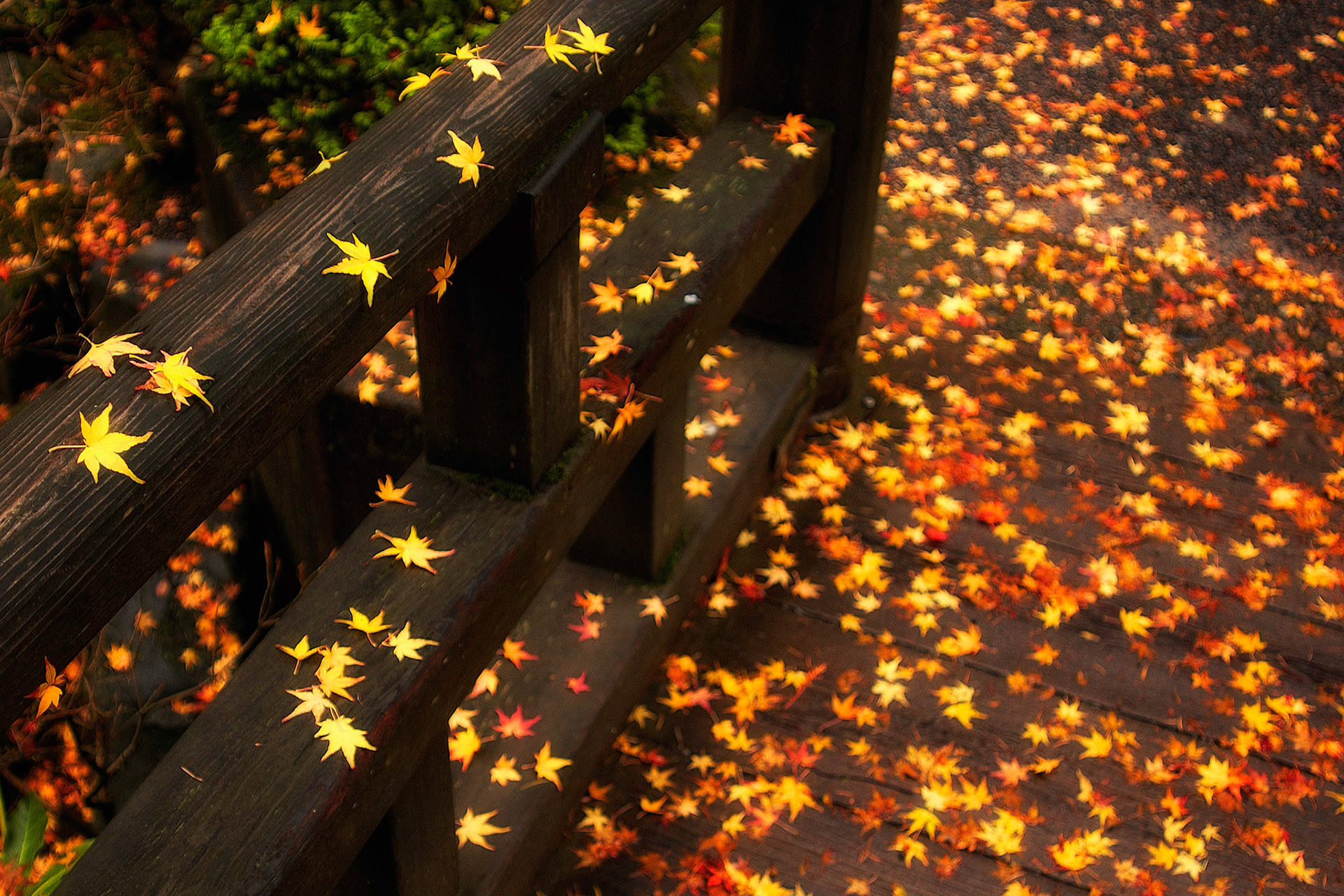Portland Japanese Garden
